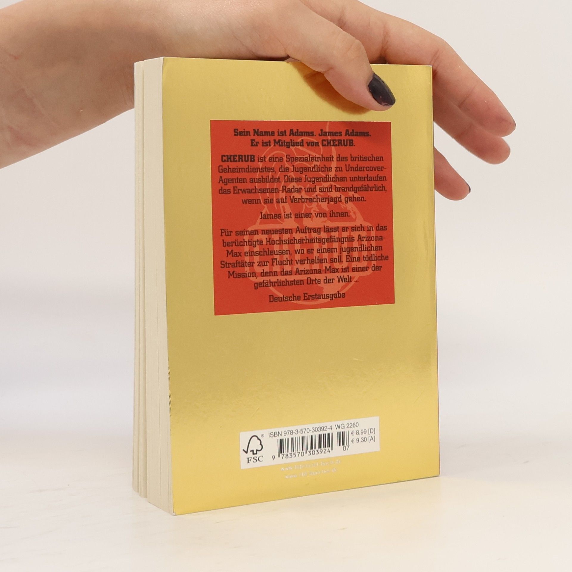Robert Muchamore Top Secret 03. Der Ausbruch