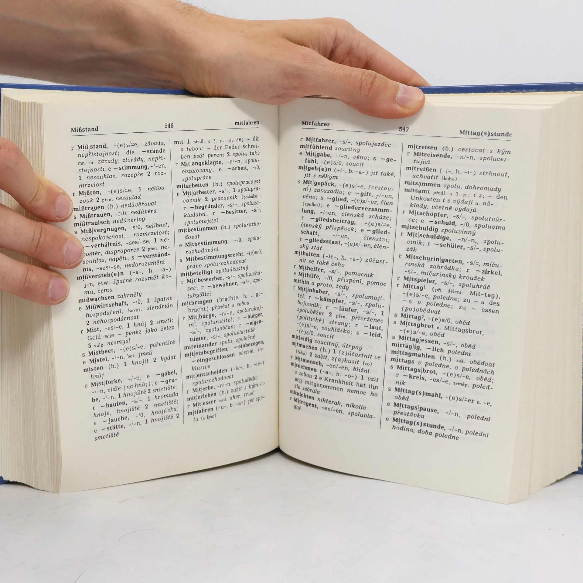 František Widimský Německo-český a česko-německý slovník. Část německo-česká