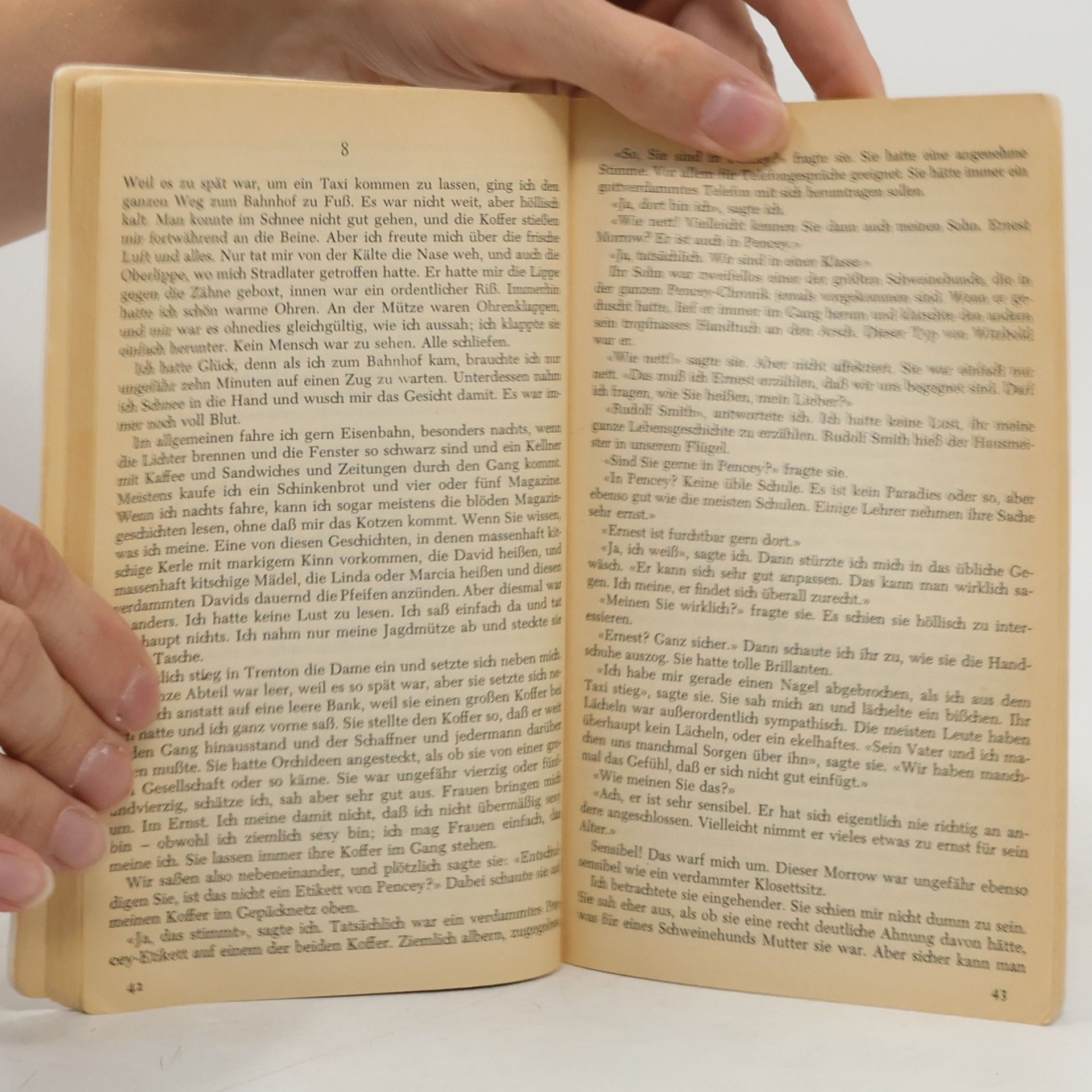J. D. Salinger Der Fänger im Roggen