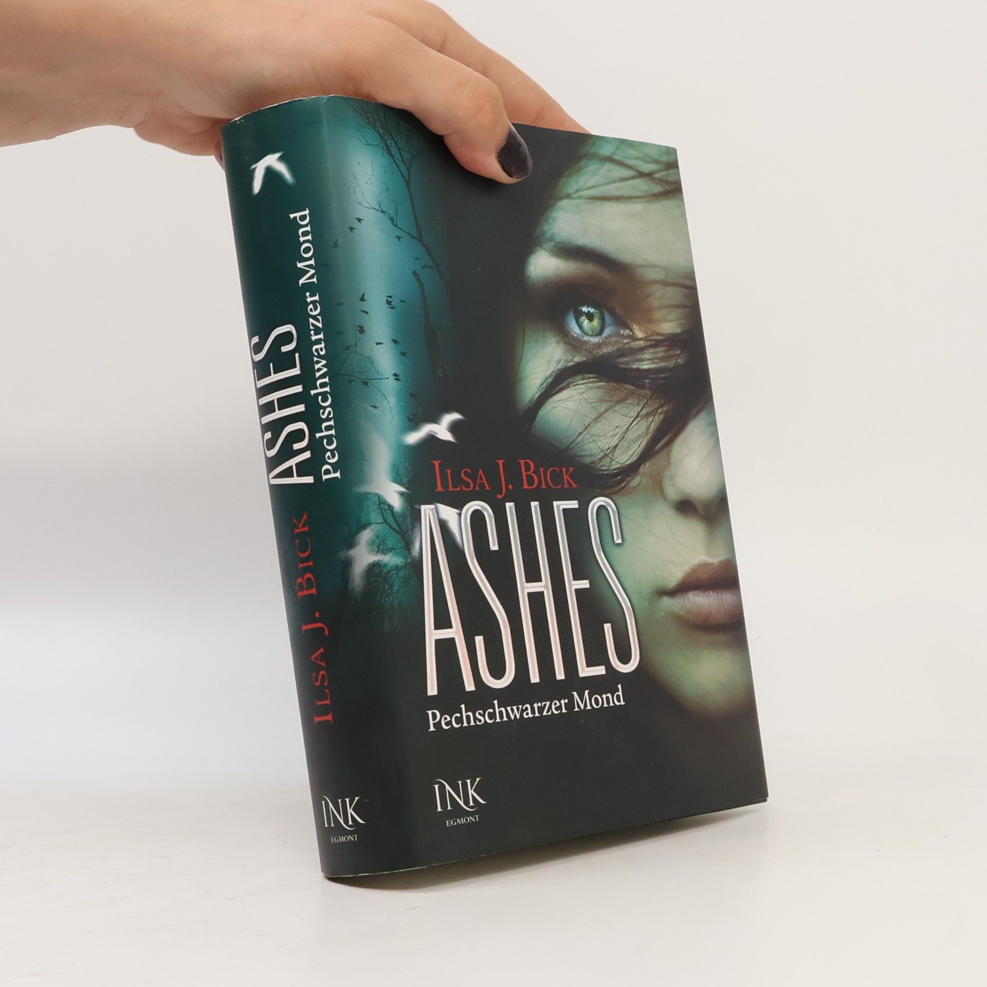Ilsa J. Bick Ashes - Pechschwarzer Mond