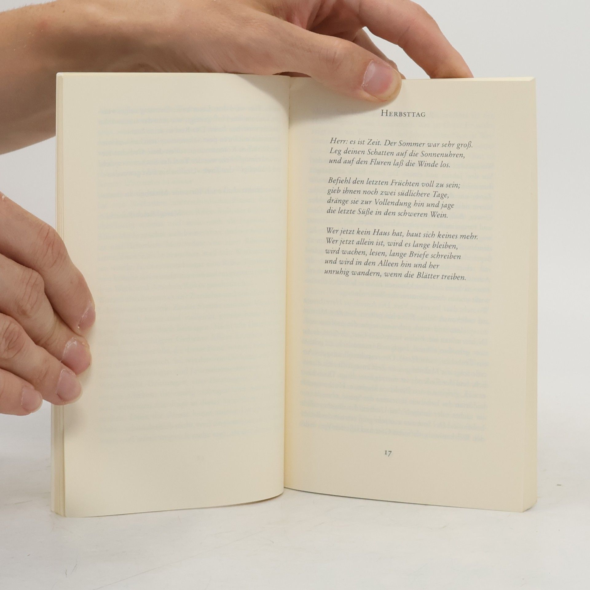 Rainer Maria Rilke Und ist ein Fest geworden