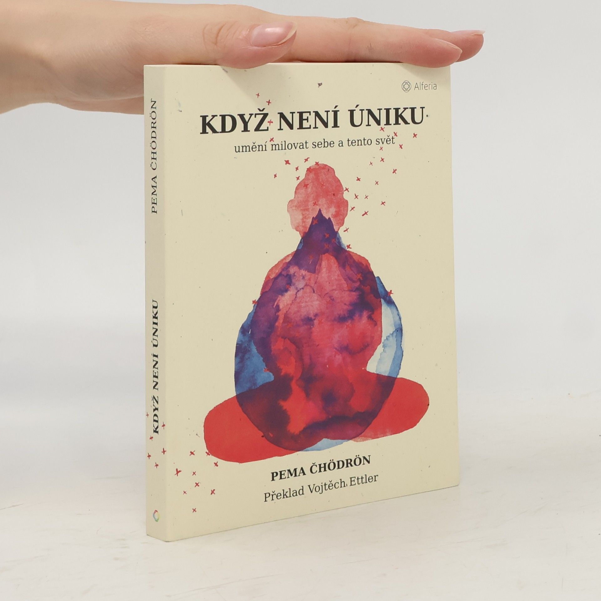 Pema Chödrön Když není úniku: Umění milovat sebe a tento svět