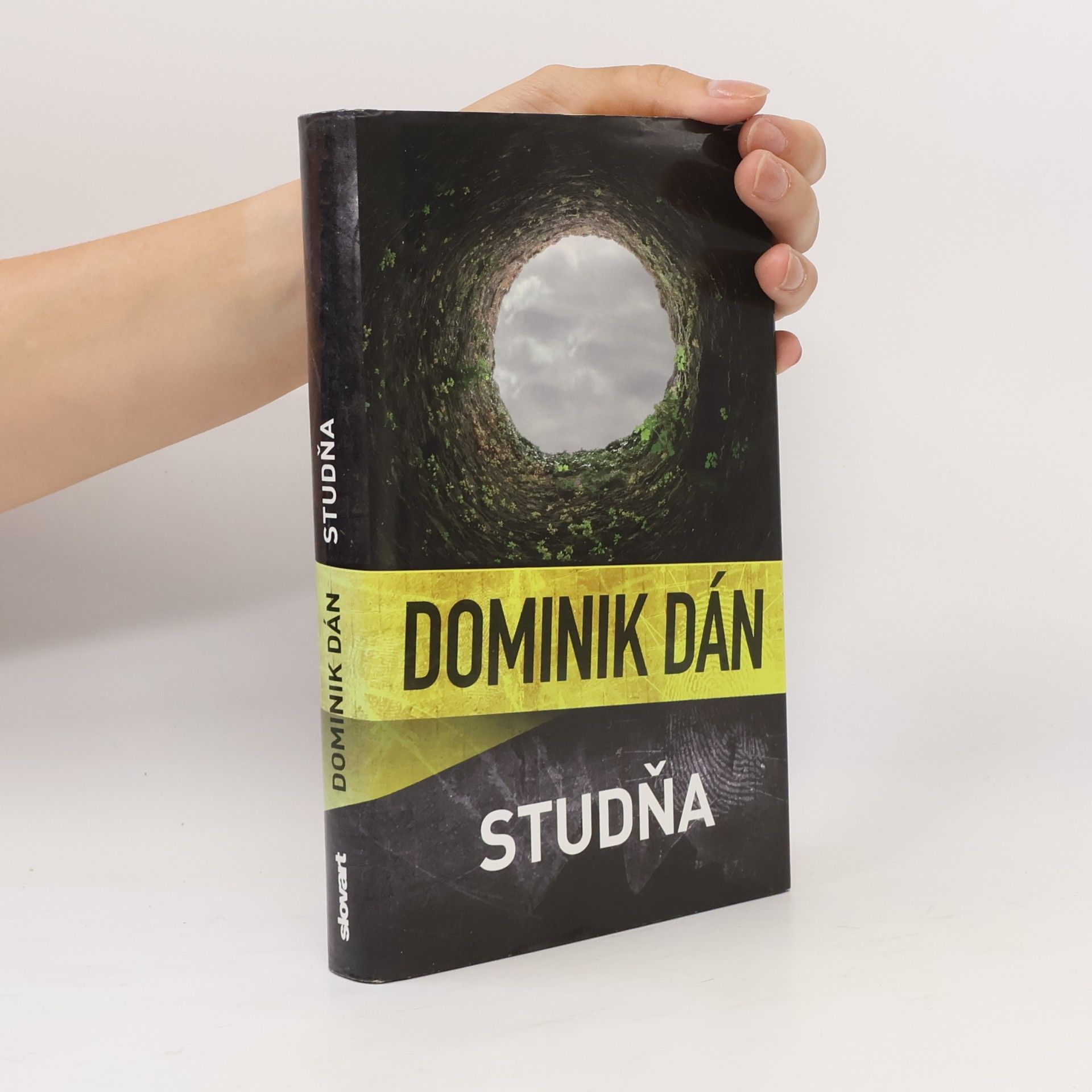 Dominik Dán Studňa