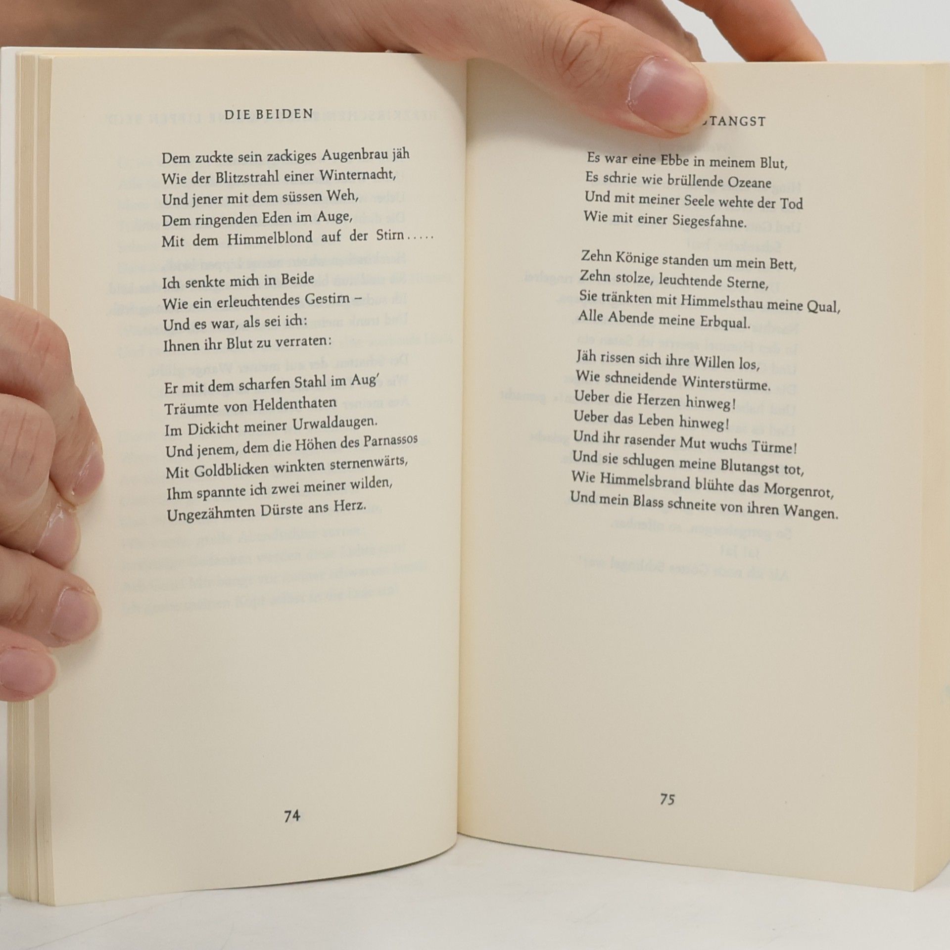Else Lasker-Schüler Die Gedichte