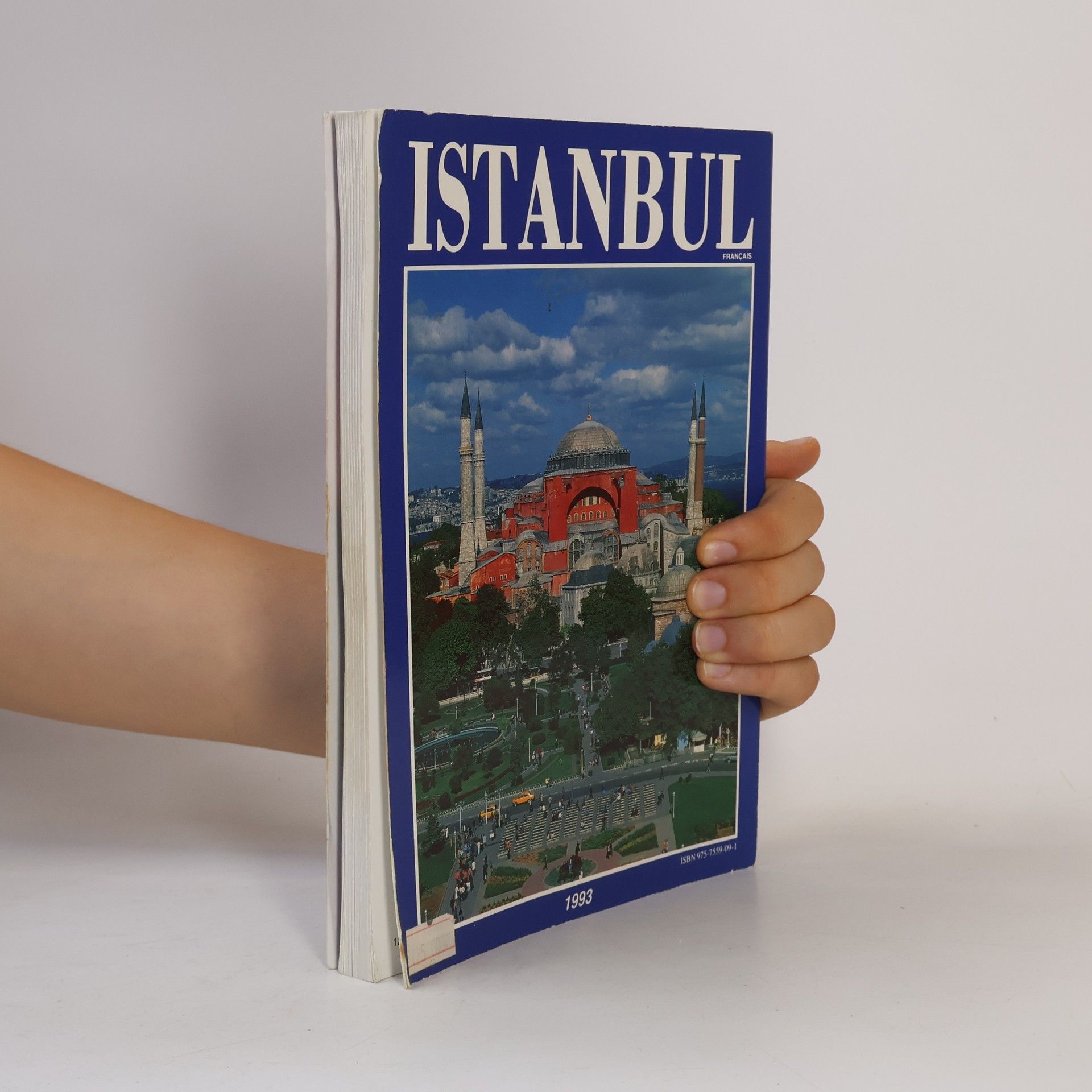 Yücel Akat Istanbul