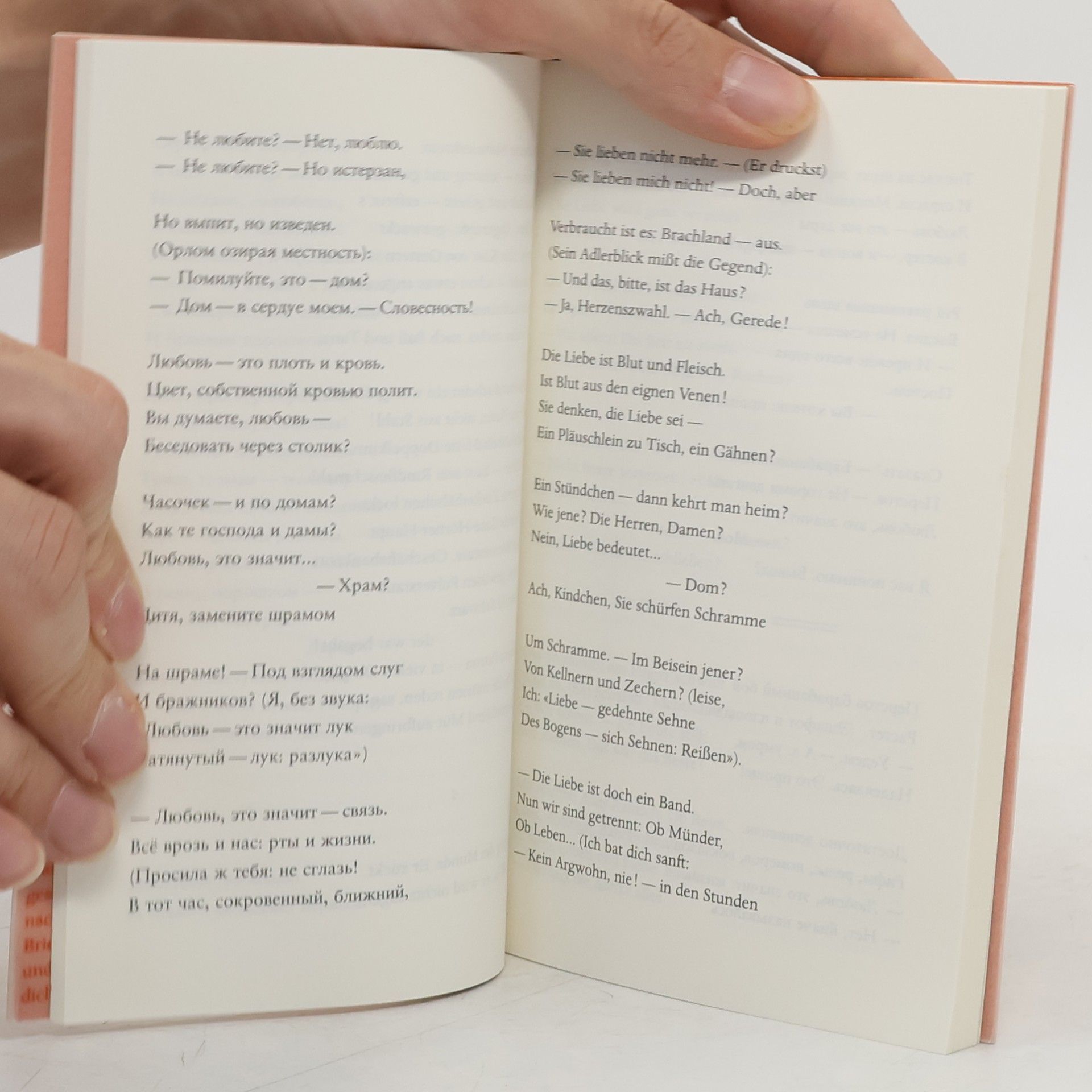 Marina Cvetaeva Poem vom Ende / Neujahrsbrief