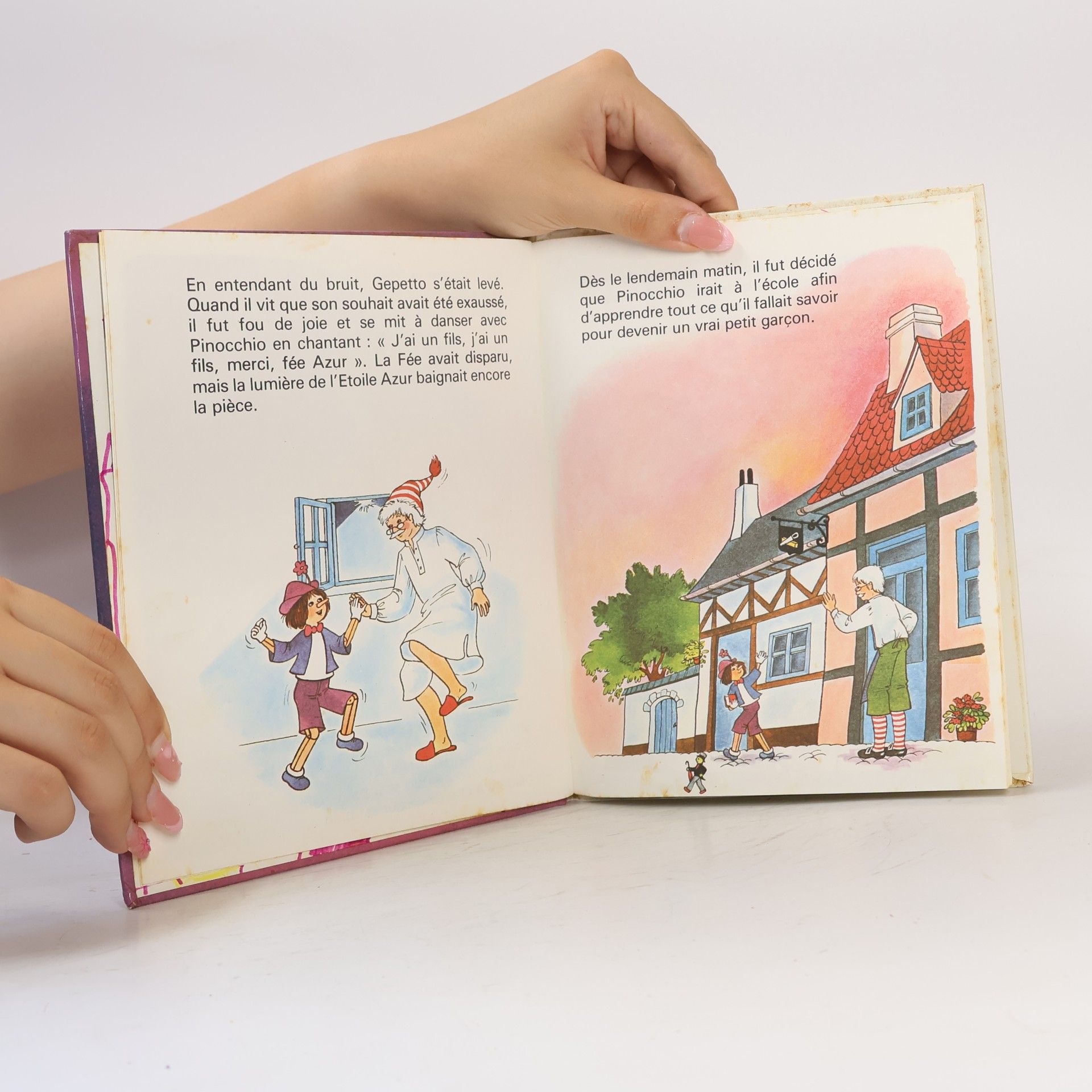 Autorenkollektiv Pinocchio. Et la fee azur