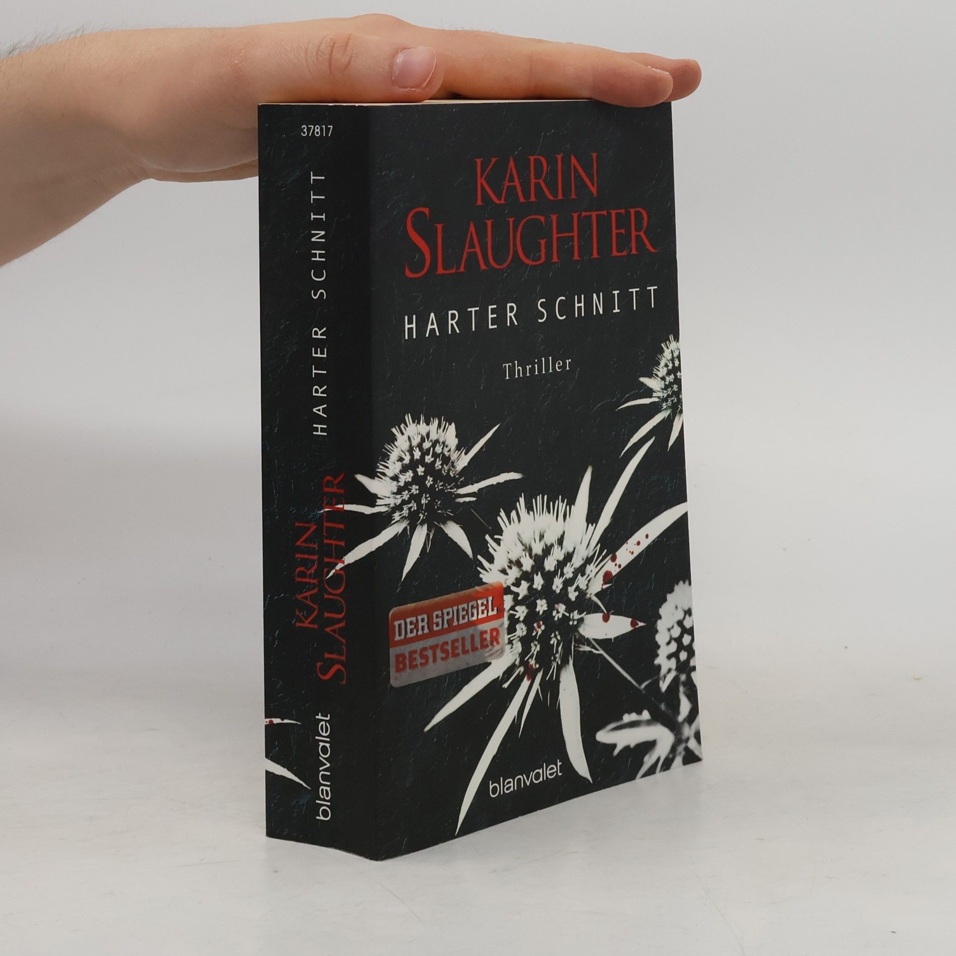 Karin Slaughter Harter Schnitt