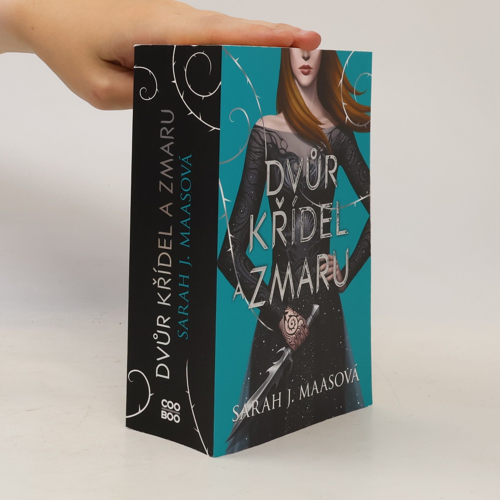 Sarah J. Maas Dvůr křídel a zmaru