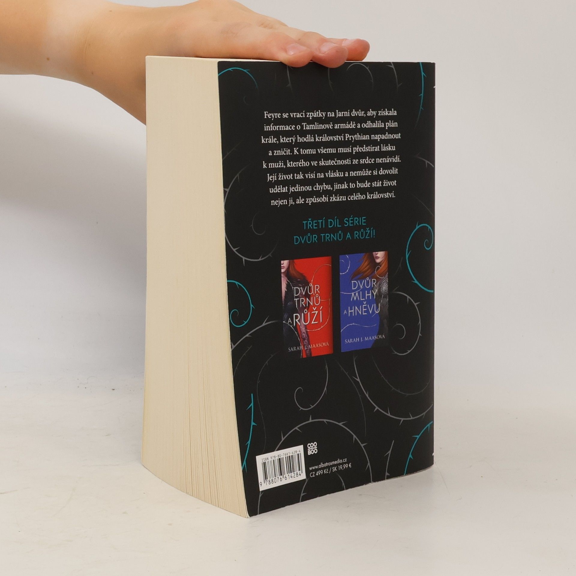 Sarah J. Maas Dvůr křídel a zmaru