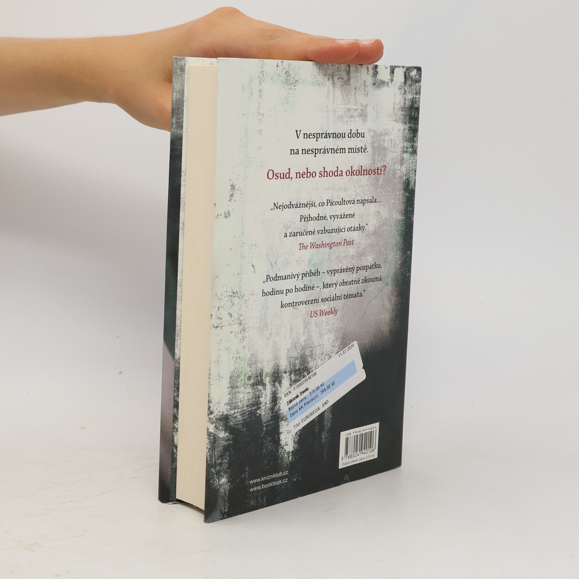 Jodi Picoult Záblesk života