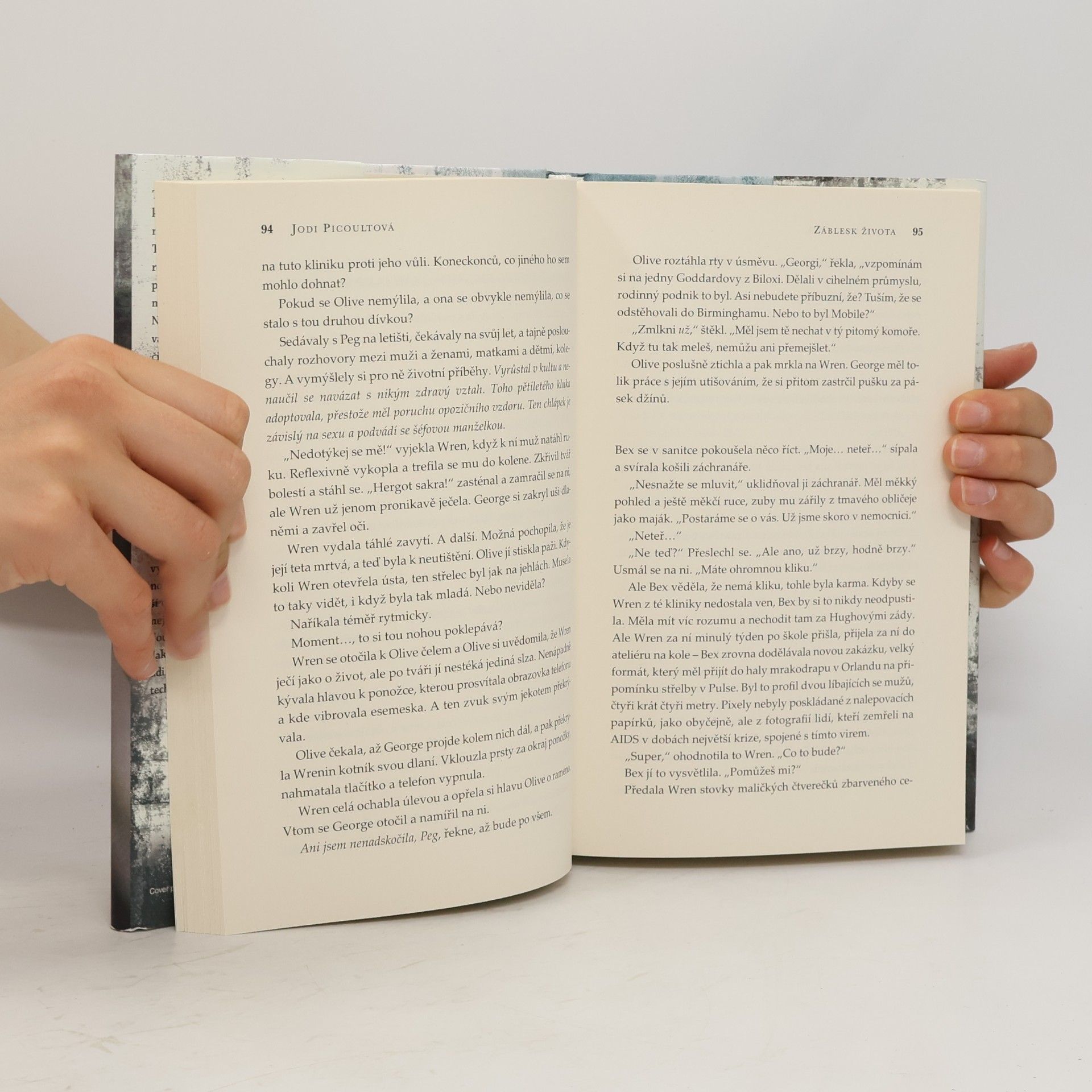 Jodi Picoult Záblesk života