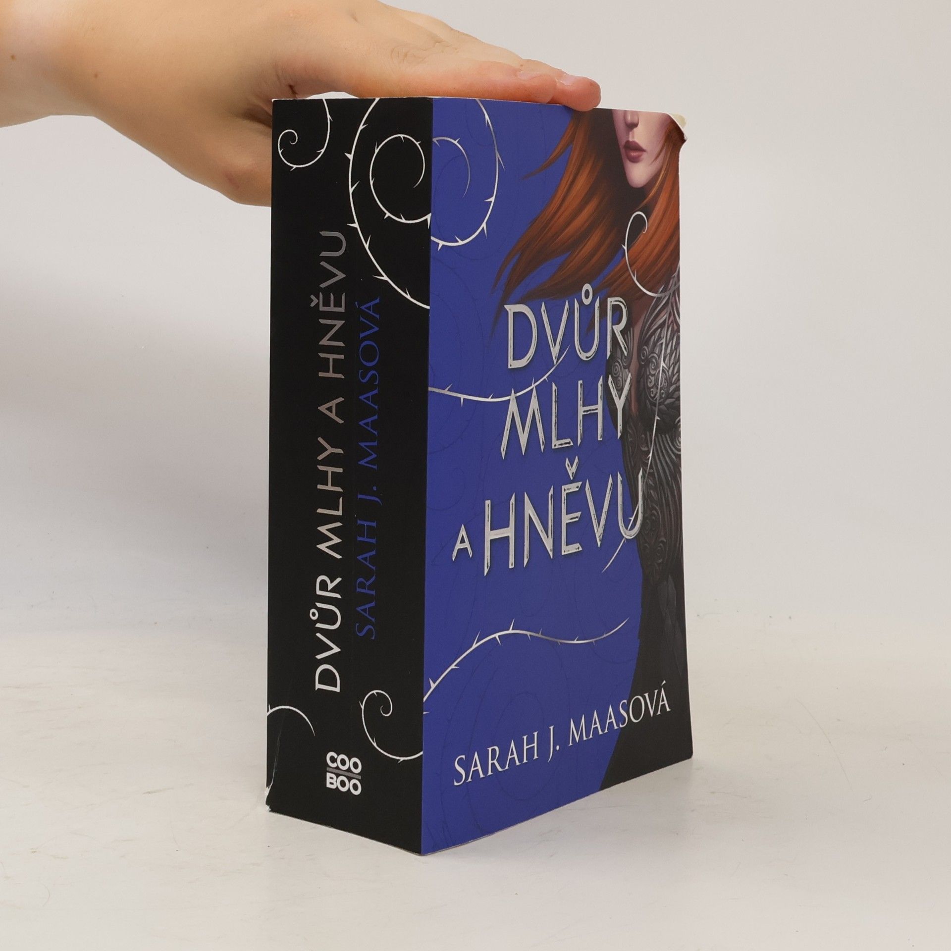 Sarah J. Maas Dvůr mlhy a hněvu