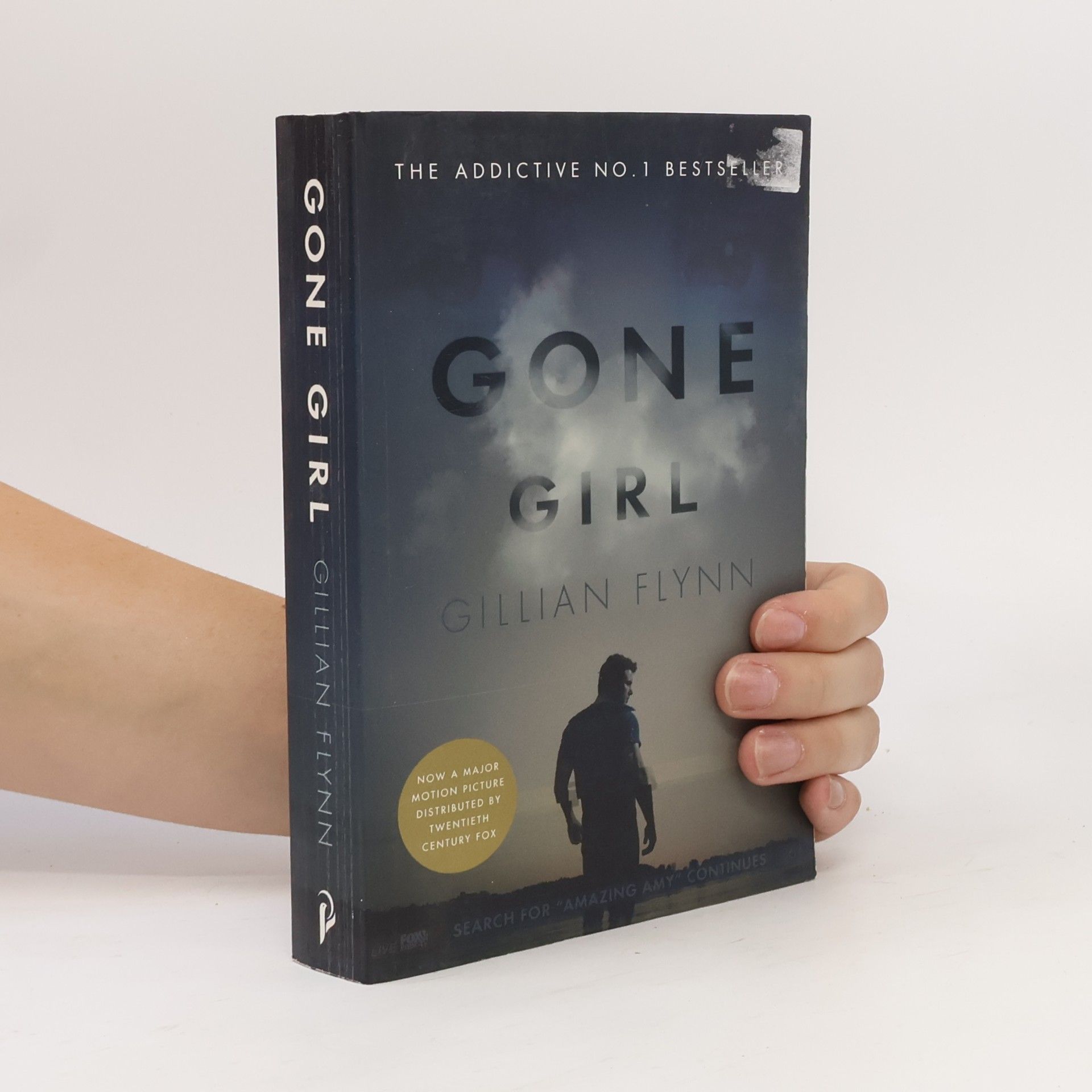 Gillian Flynn Gone Girl