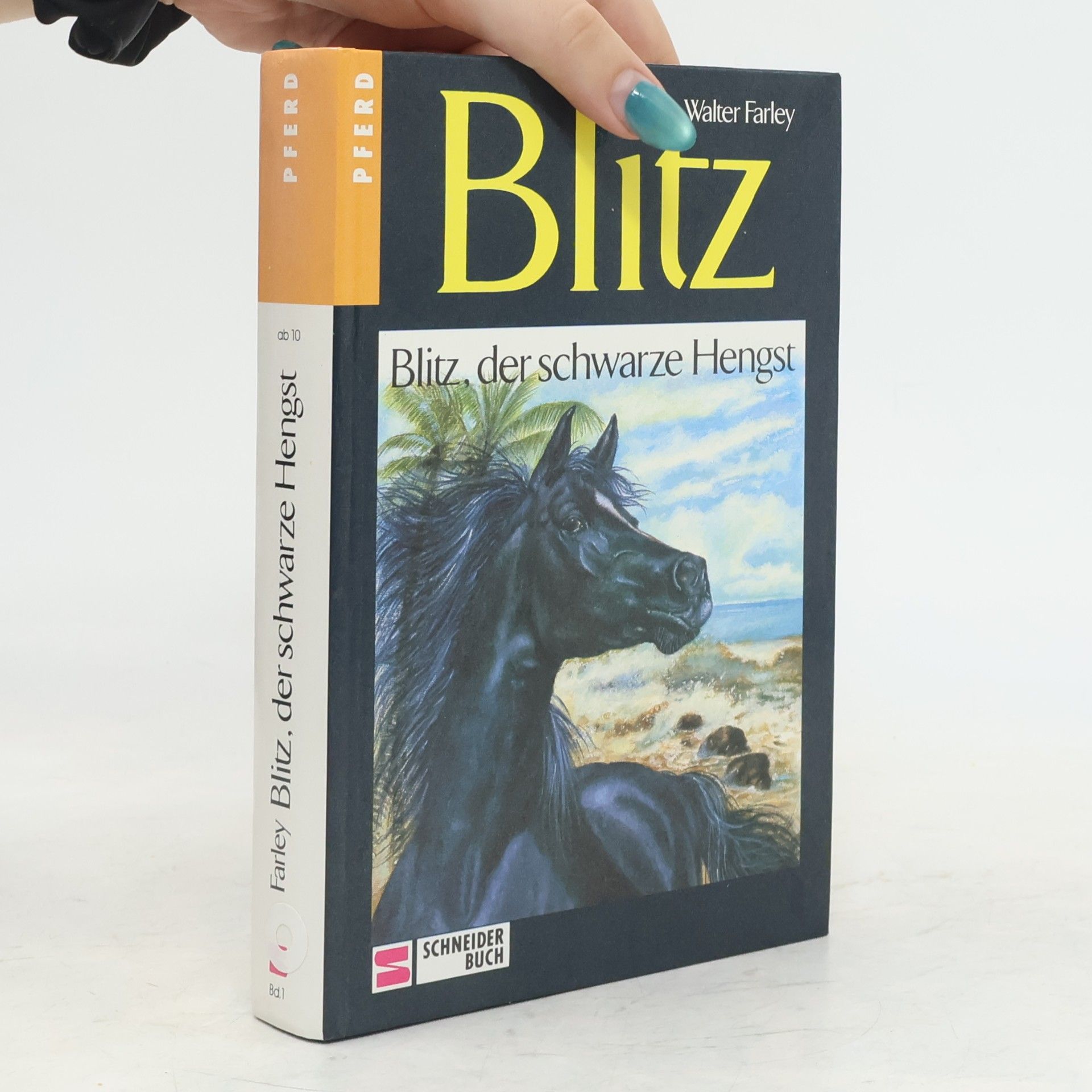 Walter Farley Blitz, der schwarze Hengst