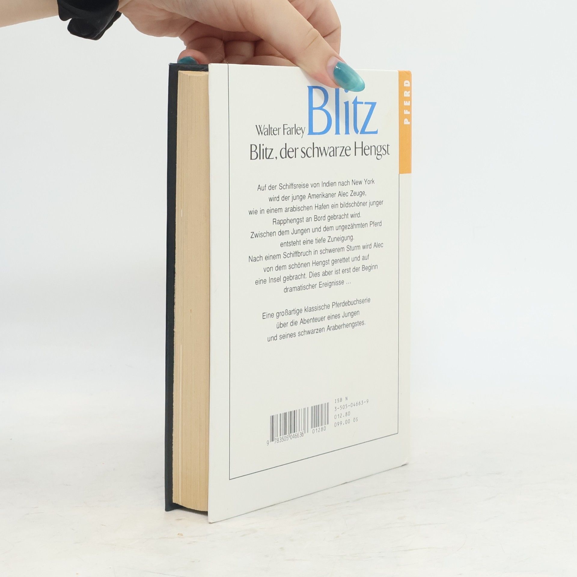 Walter Farley Blitz, der schwarze Hengst