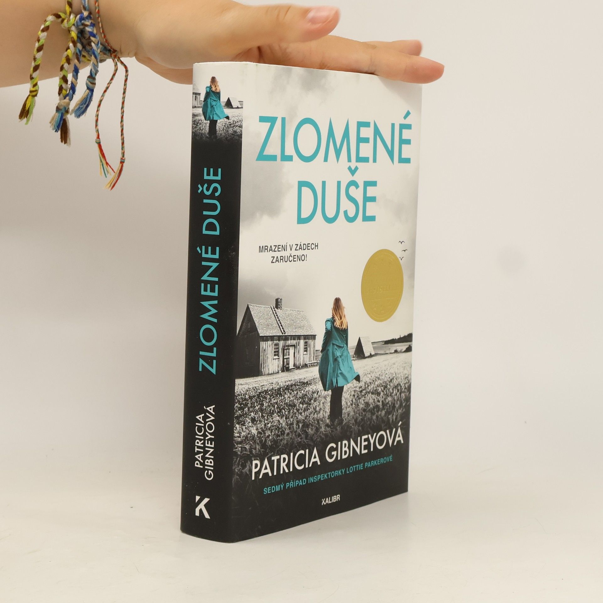 Patricia Gibney Zlomené Duše