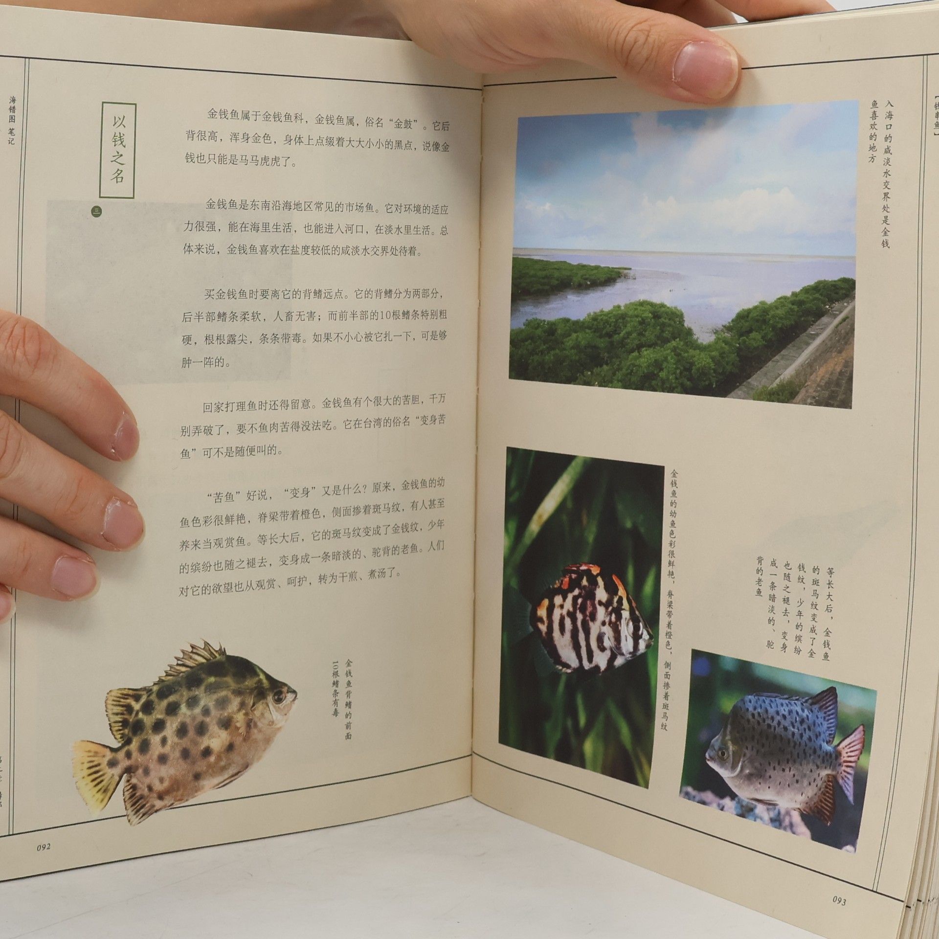 张辰亮 中国国家地理: 海错图笔记