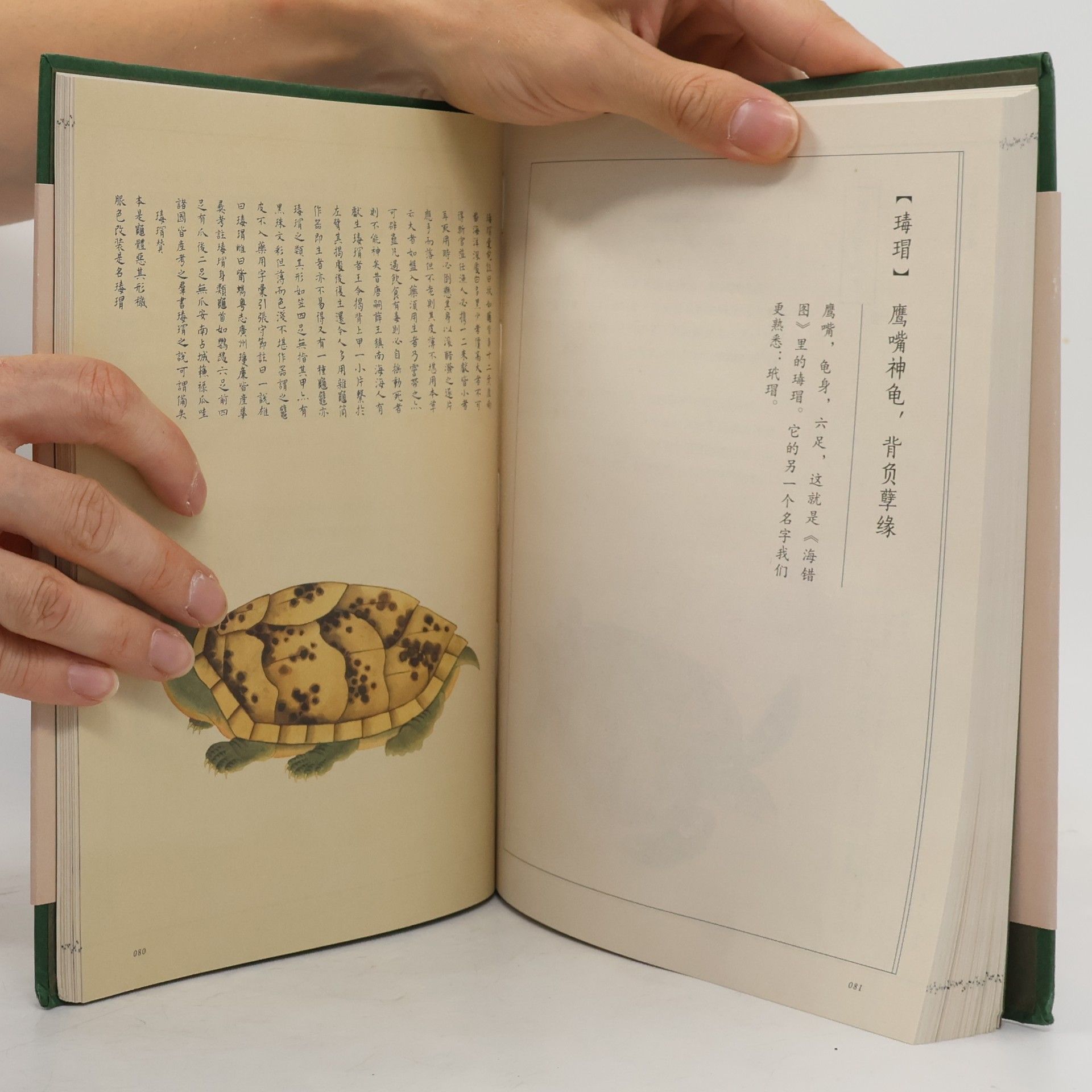 张辰亮 海错图笔记