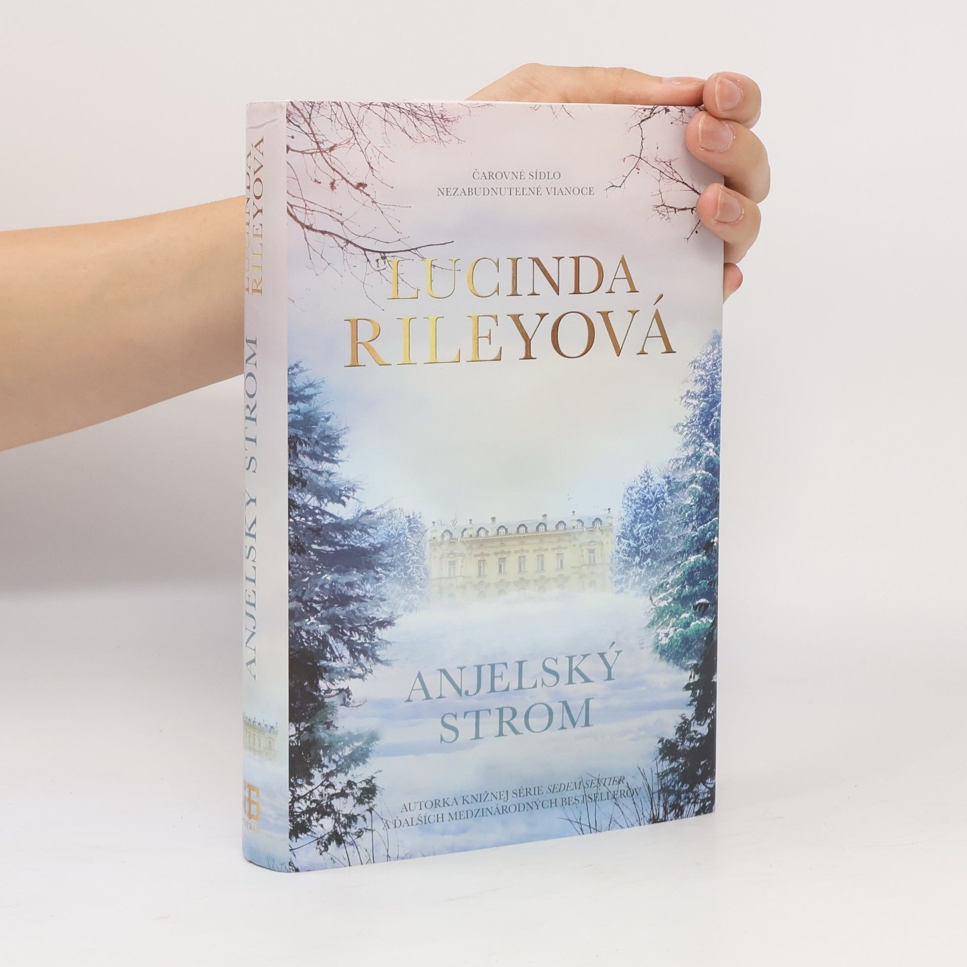 Lucinda Riley Anjelský strom