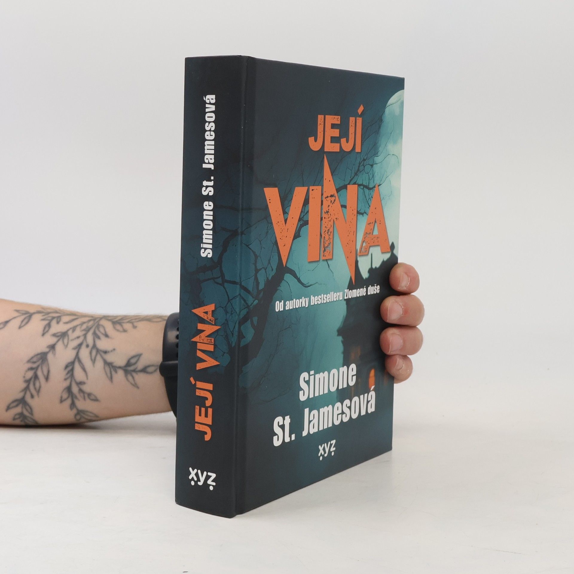 Simone St. James Její vina