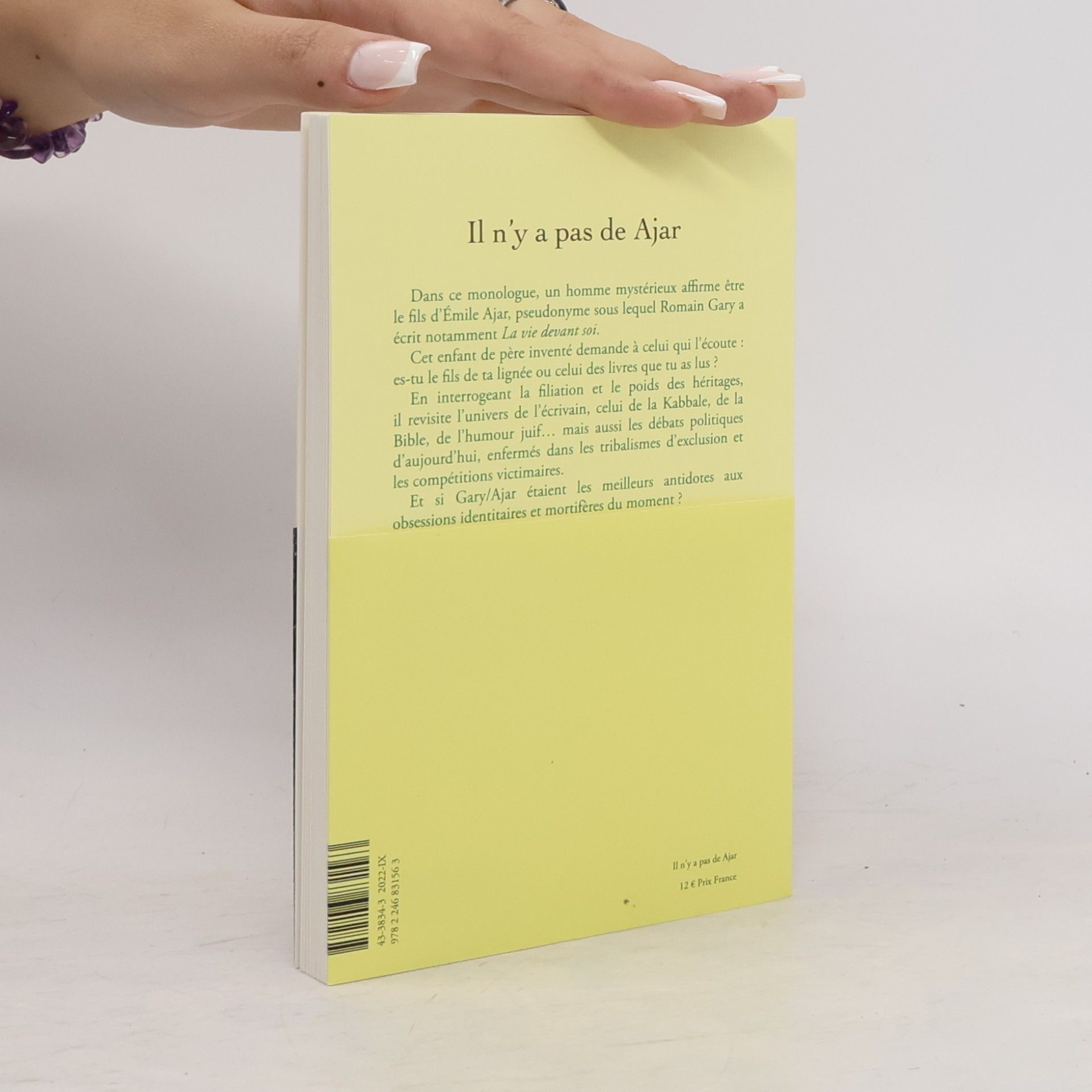 Delphine Horvilleur Il n'y a pas de Ajar