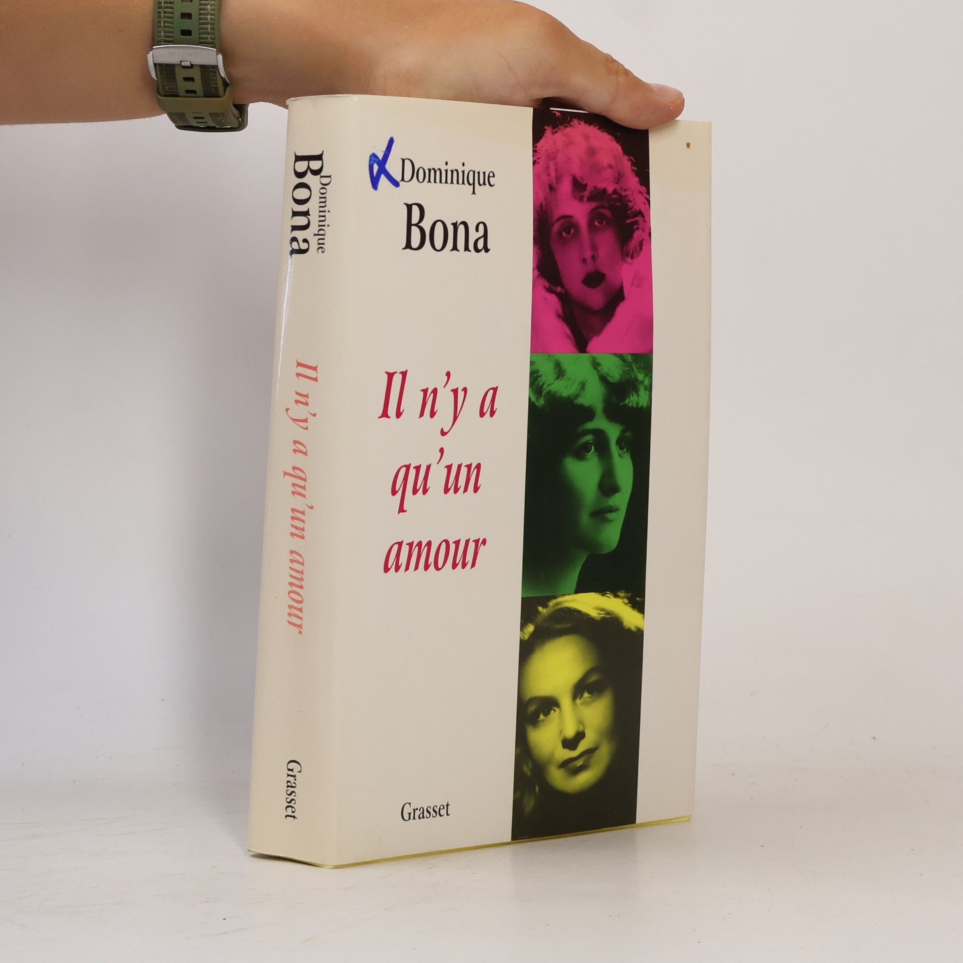 Dominique Bona Il n'y a qu'un amour
