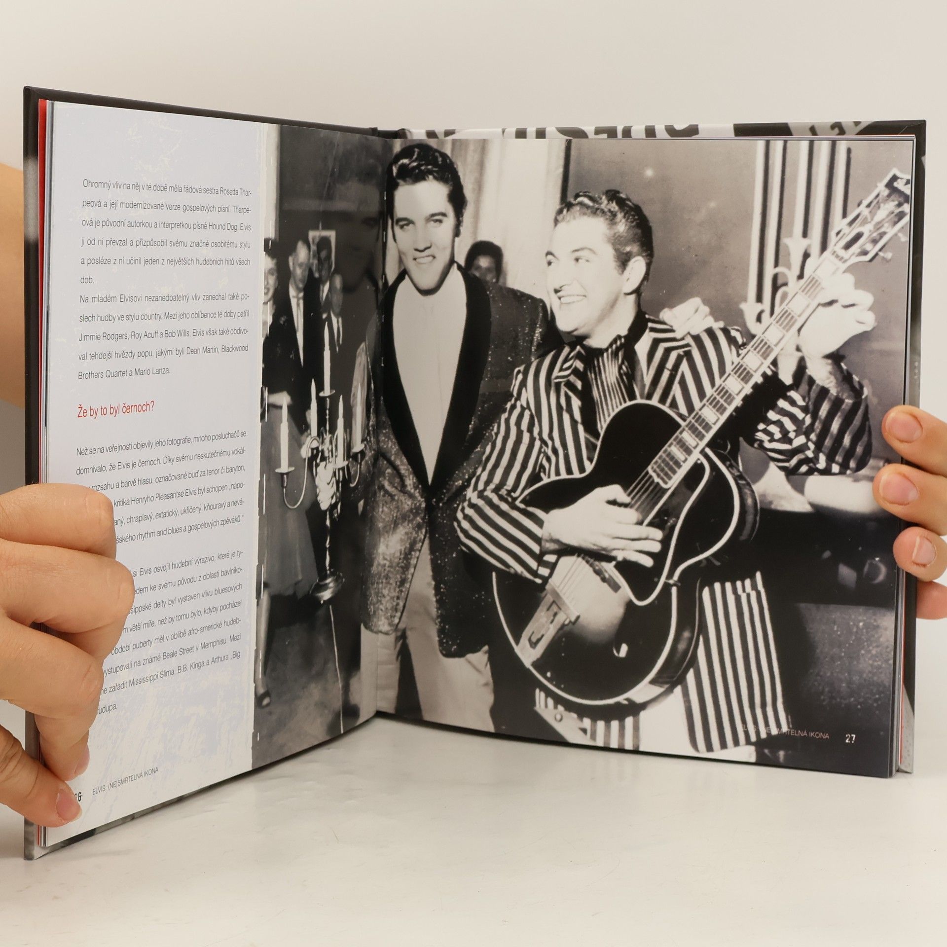 Alice Hudson Elvis: (Ne)smrtelná Ikona
