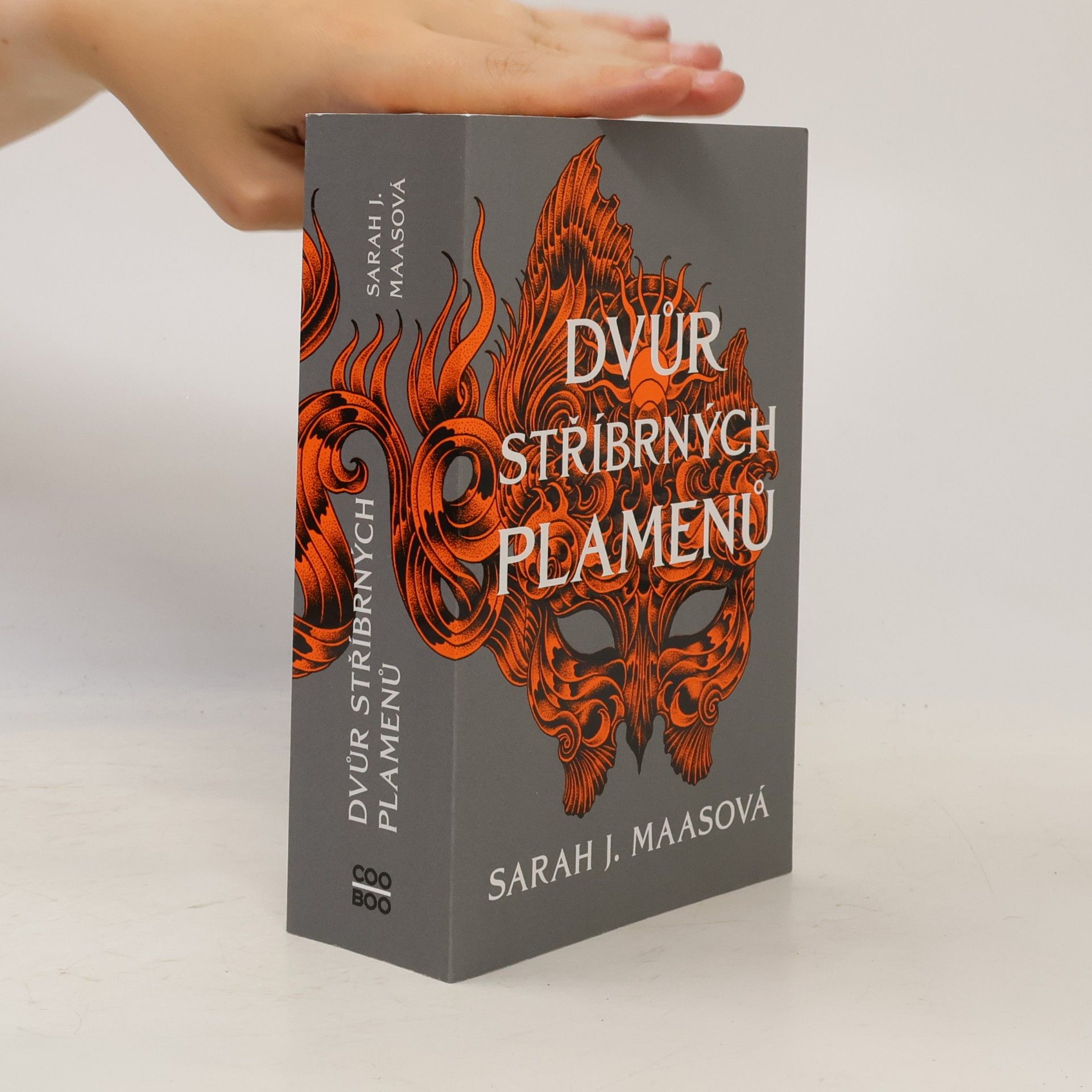 Sarah J. Maas Dvůr stříbrných plamenů