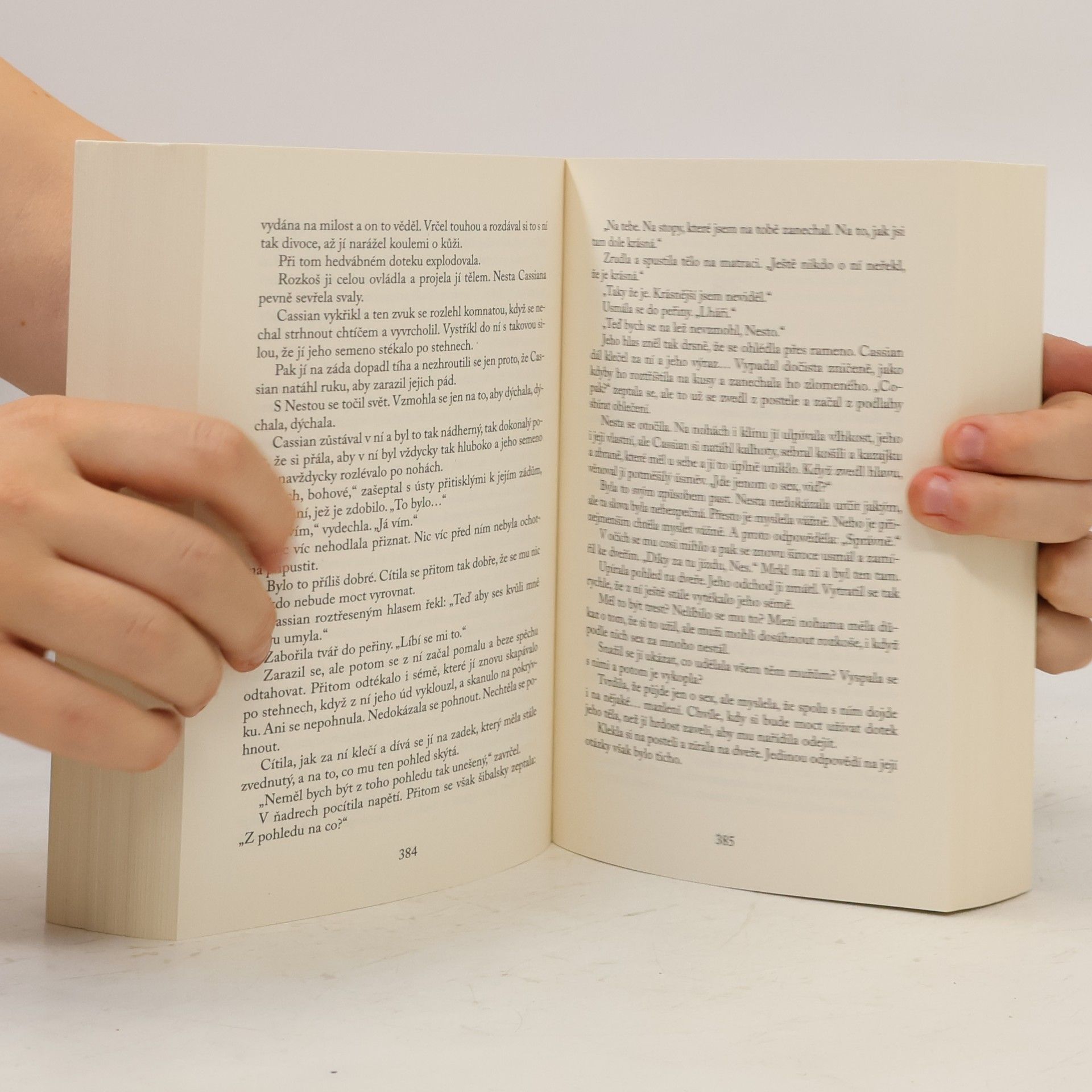 Sarah J. Maas Dvůr stříbrných plamenů