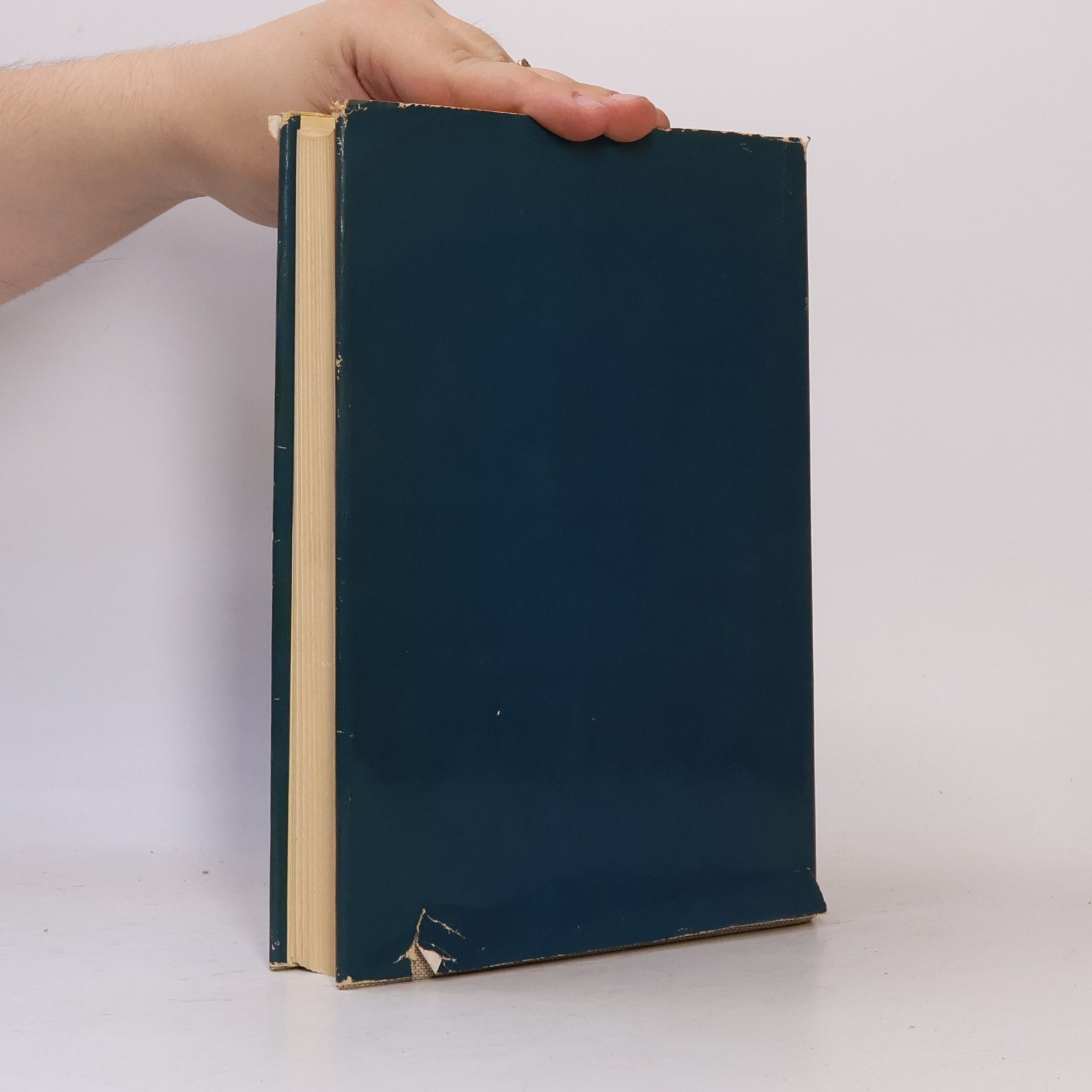 Günther Voss Knaurs Bastelbuch