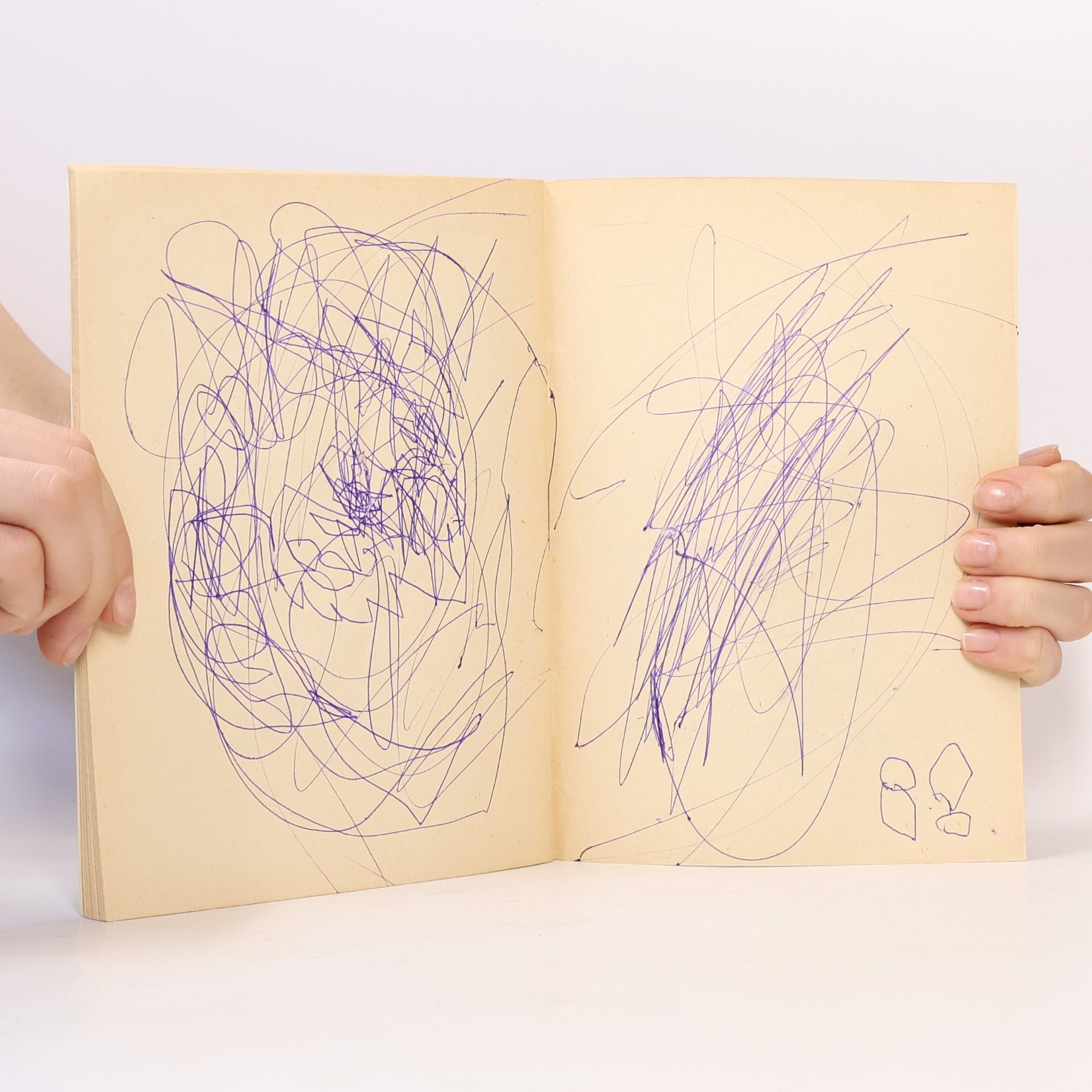 Hana Nekolová 100 vůní a chutí - králík