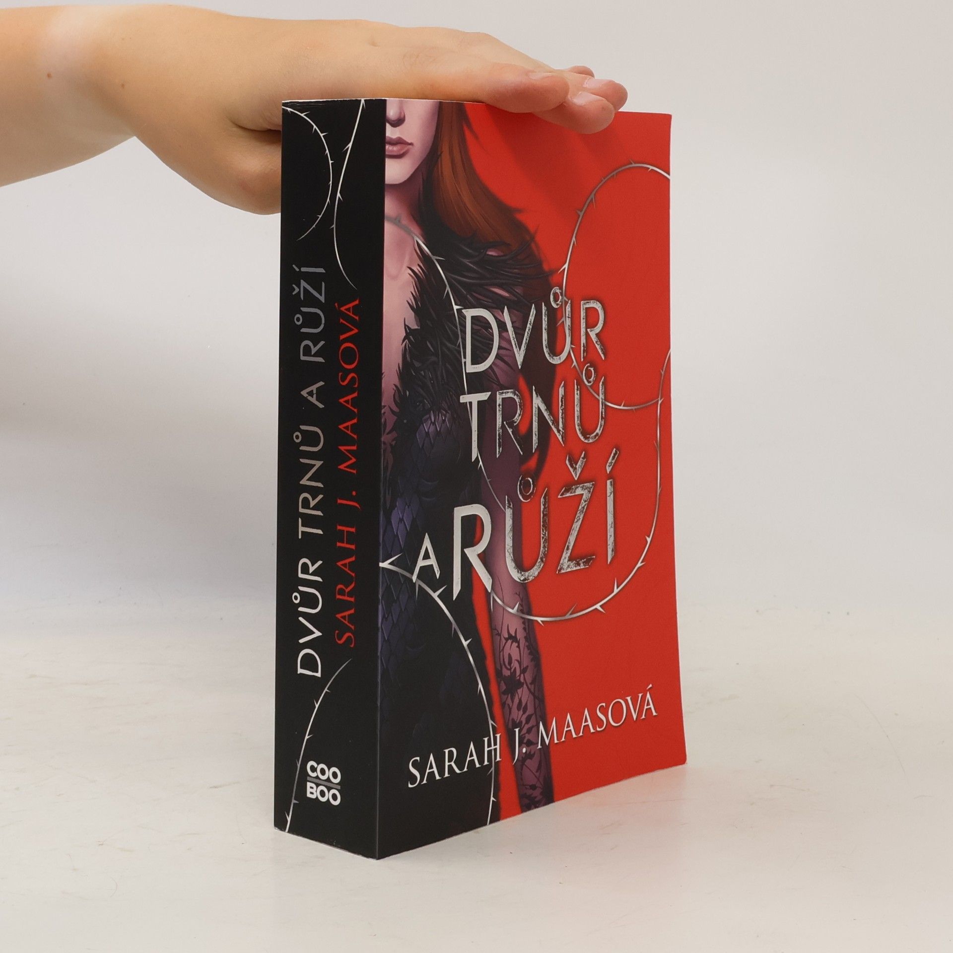Sarah J. Maas Dvůr trnů a růží