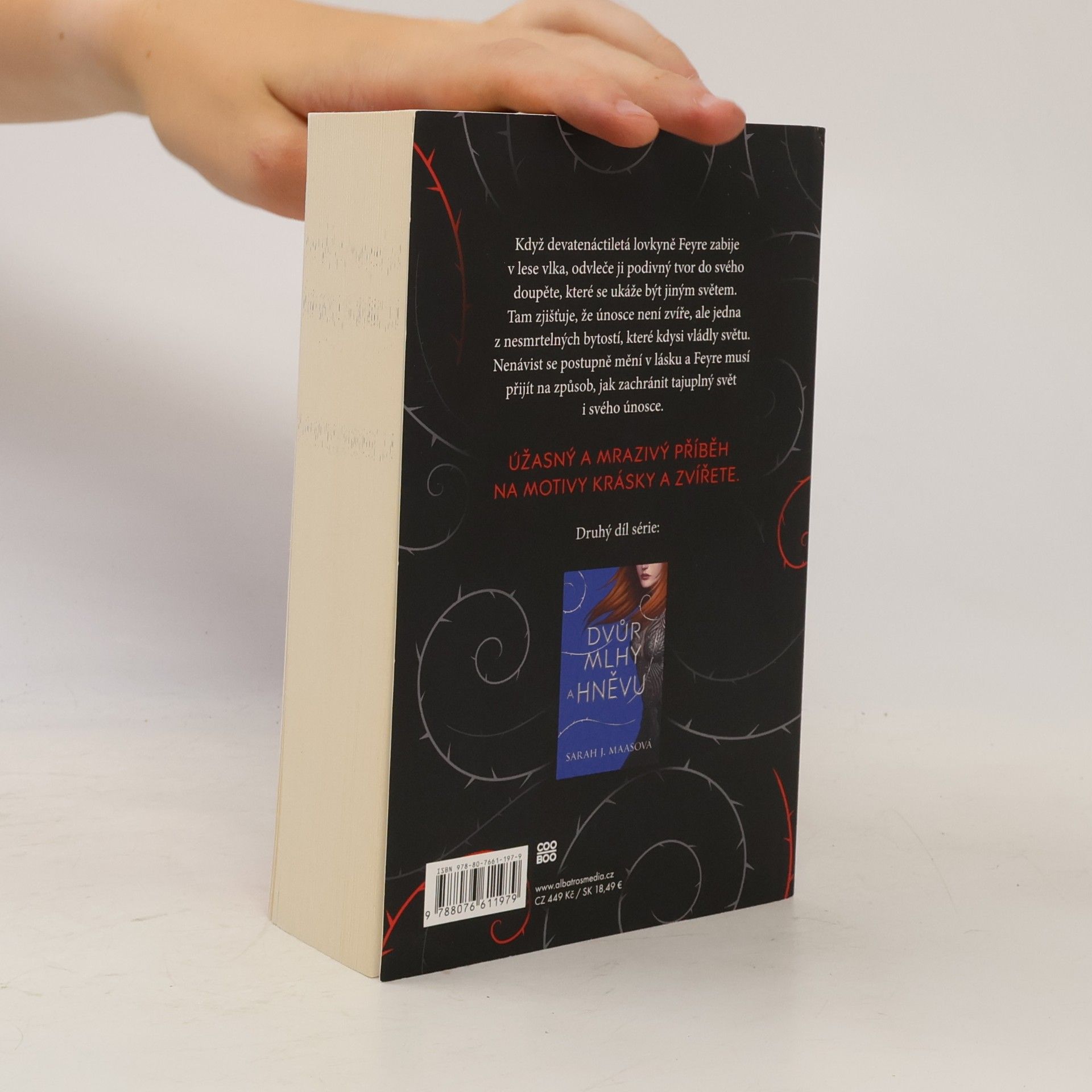 Sarah J. Maas Dvůr trnů a růží