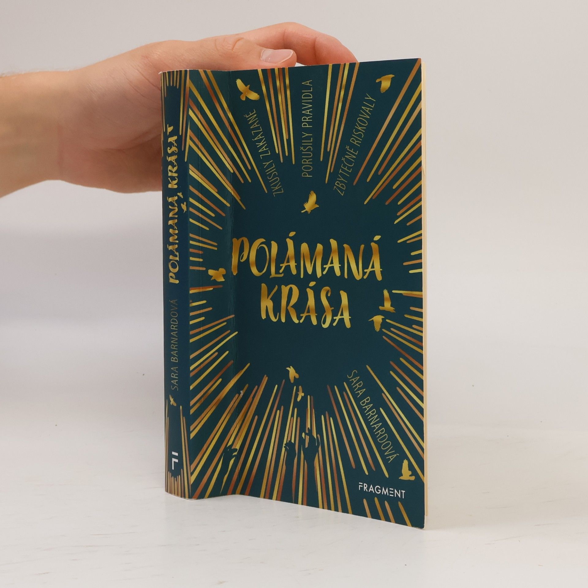 Sara Barnard Polámaná krása