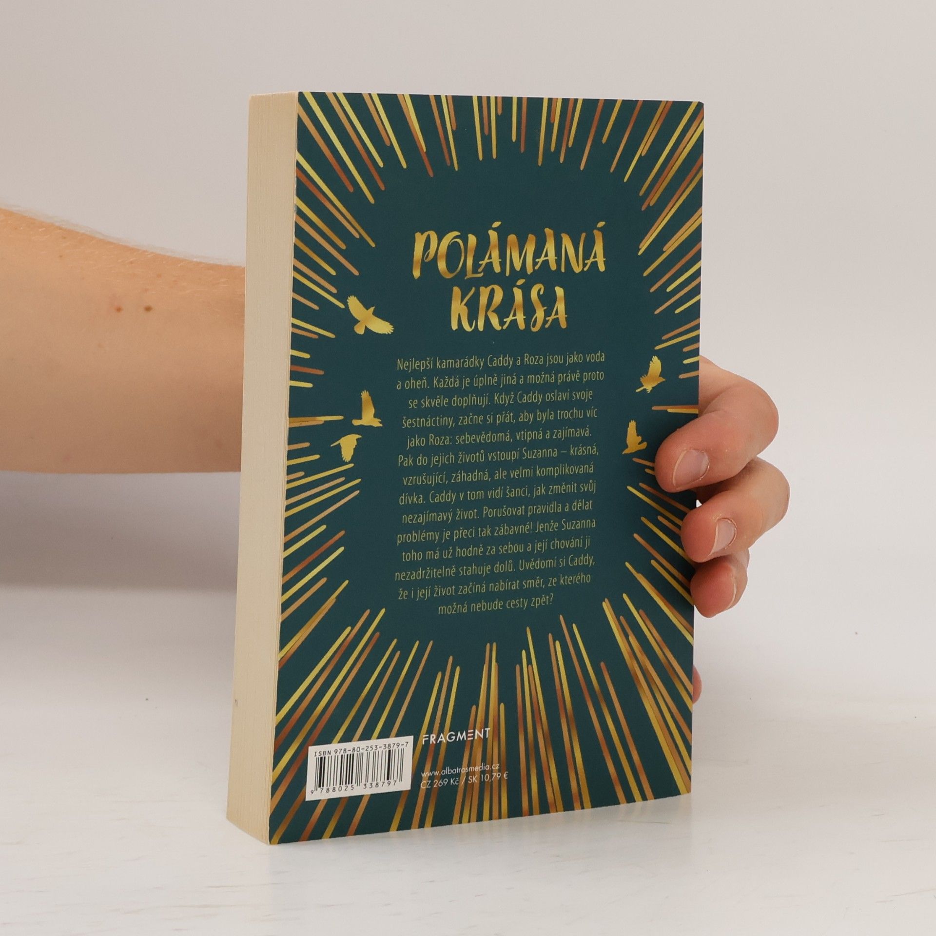 Sara Barnard Polámaná krása