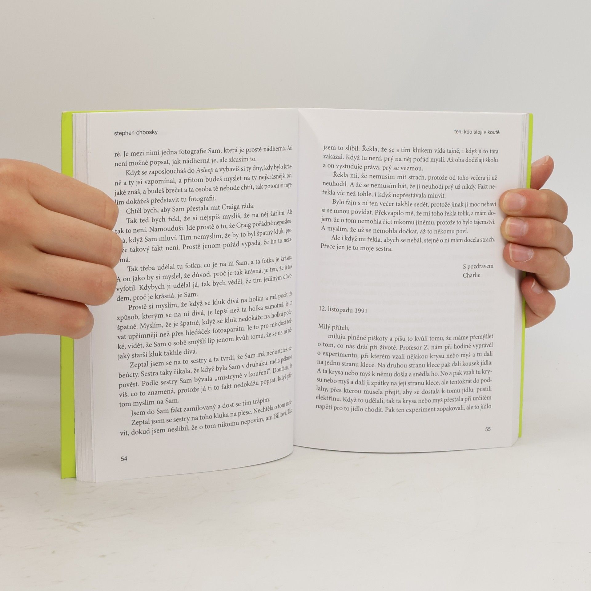 Stephen Chbosky Ten, kdo stojí v koutě