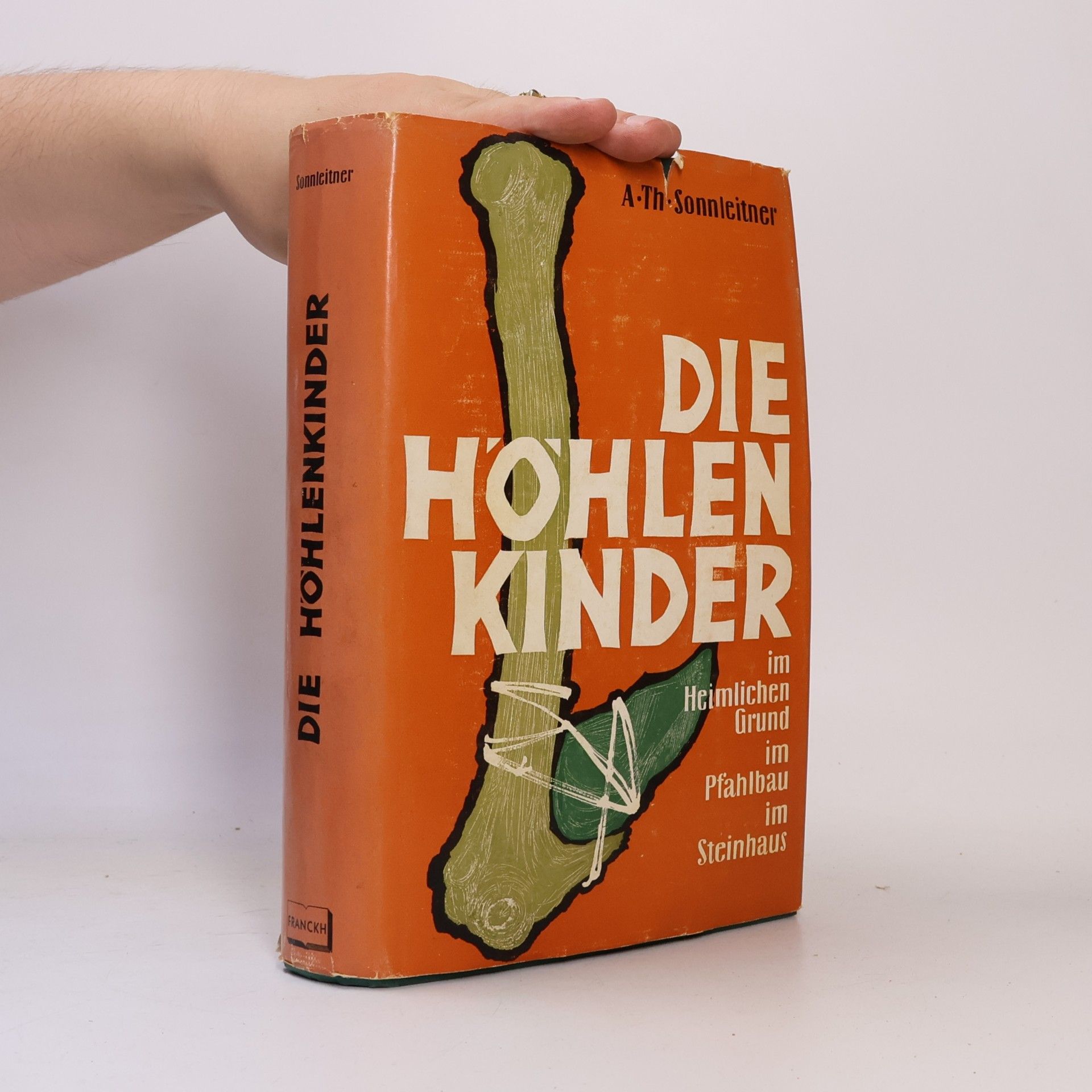 A. T. Sonnleitner Die Höhlenkinder