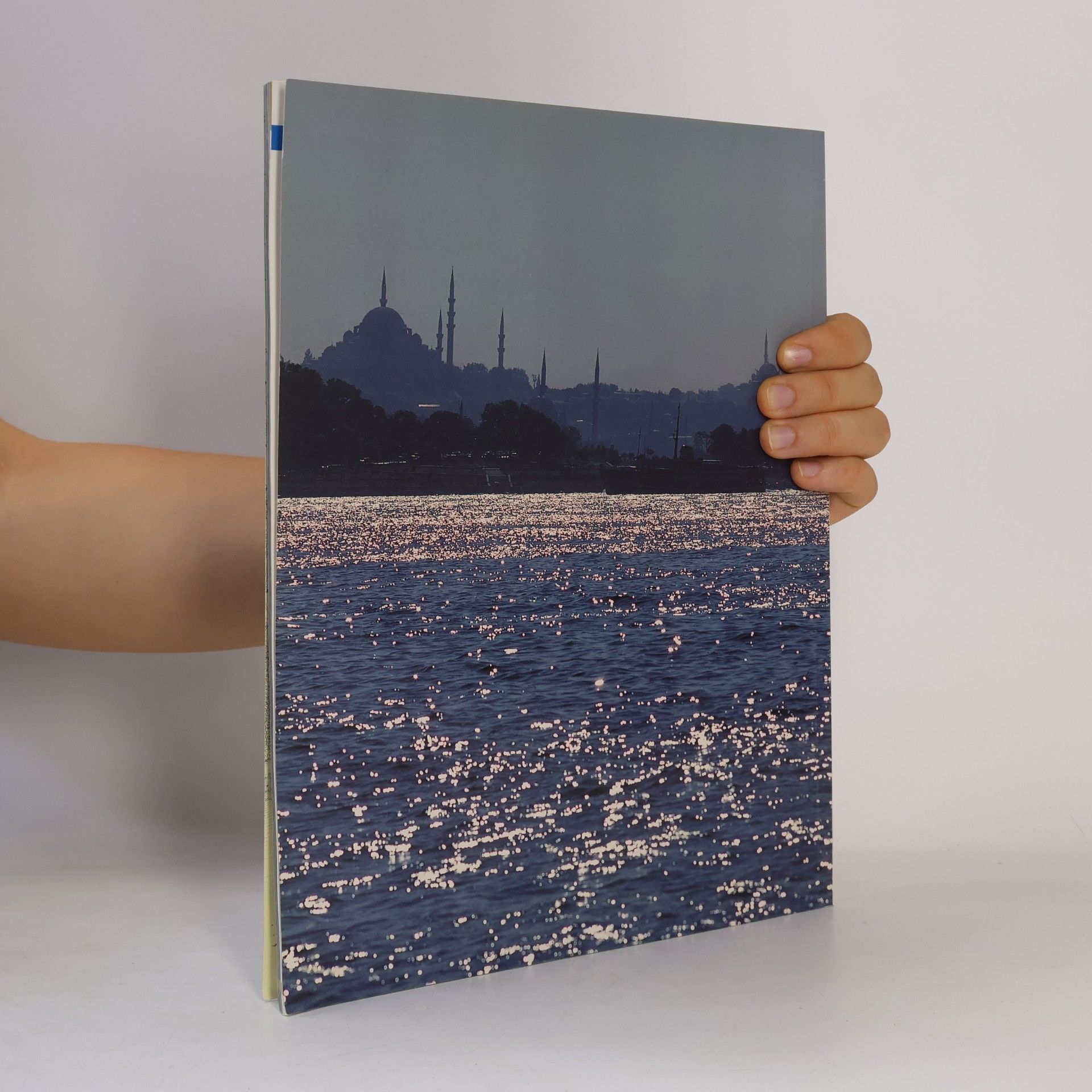 Gérard Civet Istanbul
