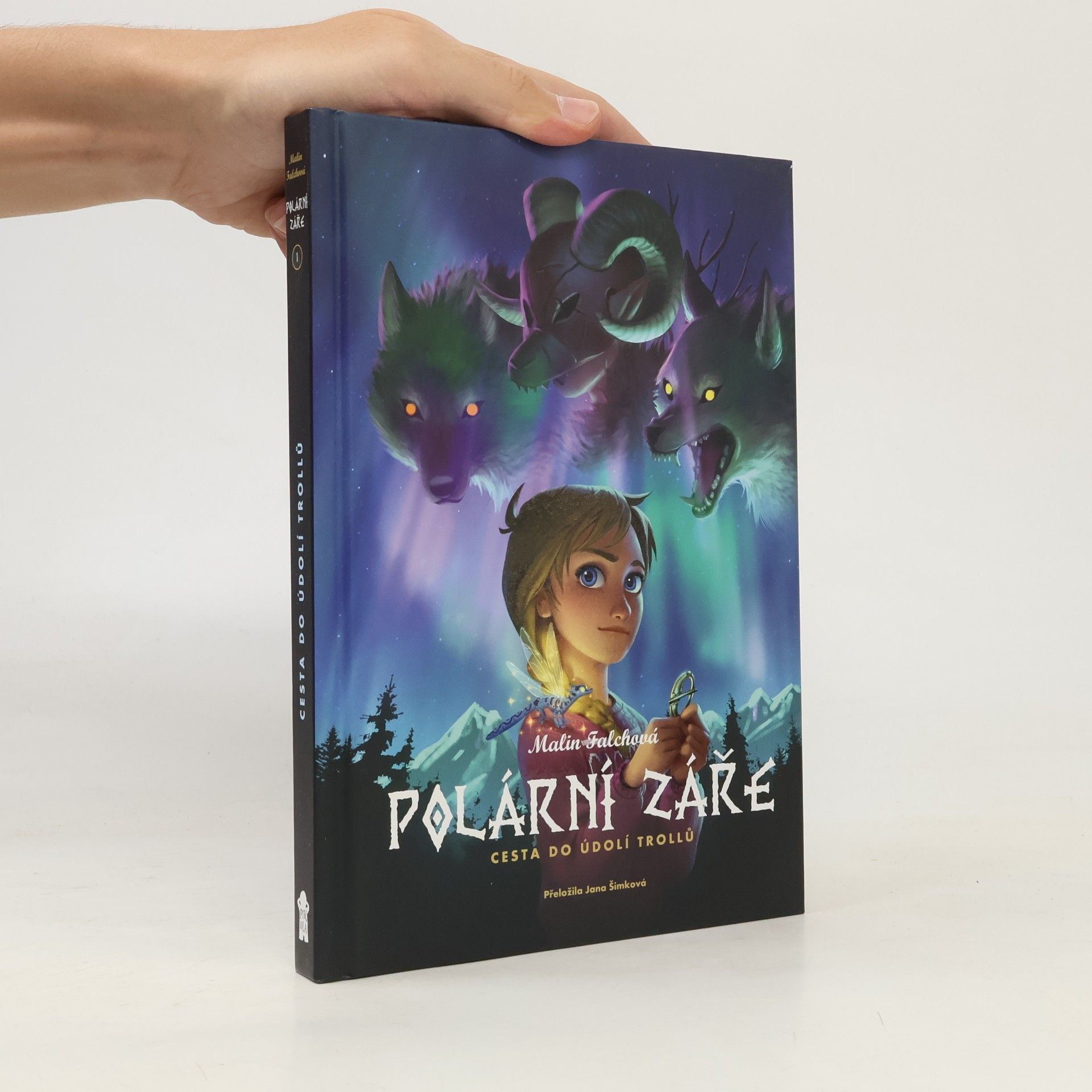 Polární záře. Cesta do Údolí trollů