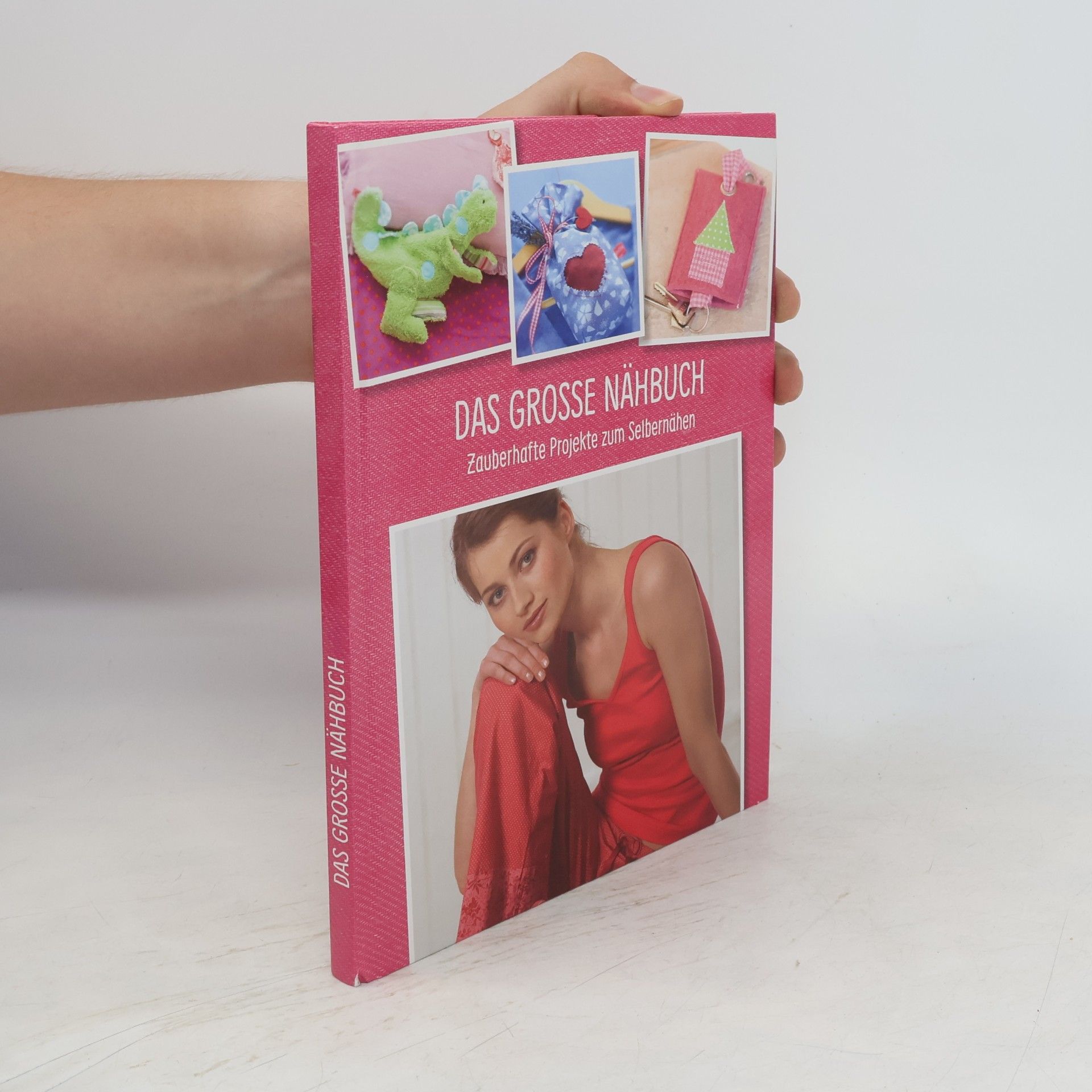 Kolektiv autorů Das Grosse Nähbuch: Zauberhafte Projekte zum Selbernähen