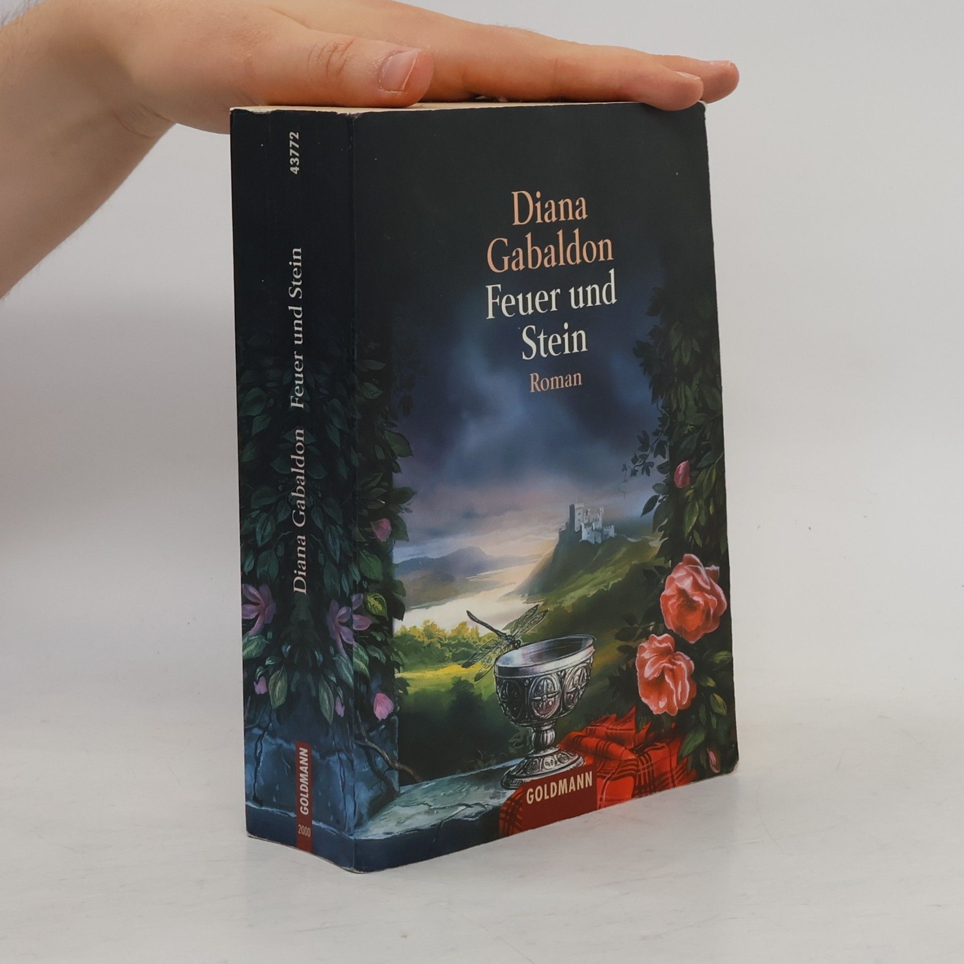 Diana Gabaldon Feuer und Stein