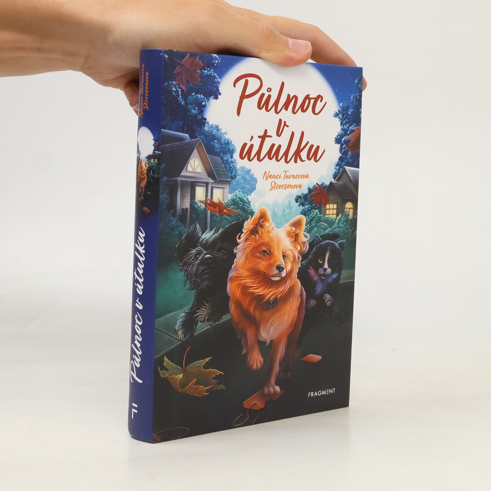 Nanci Turner Steveson Půlnoc v útulku