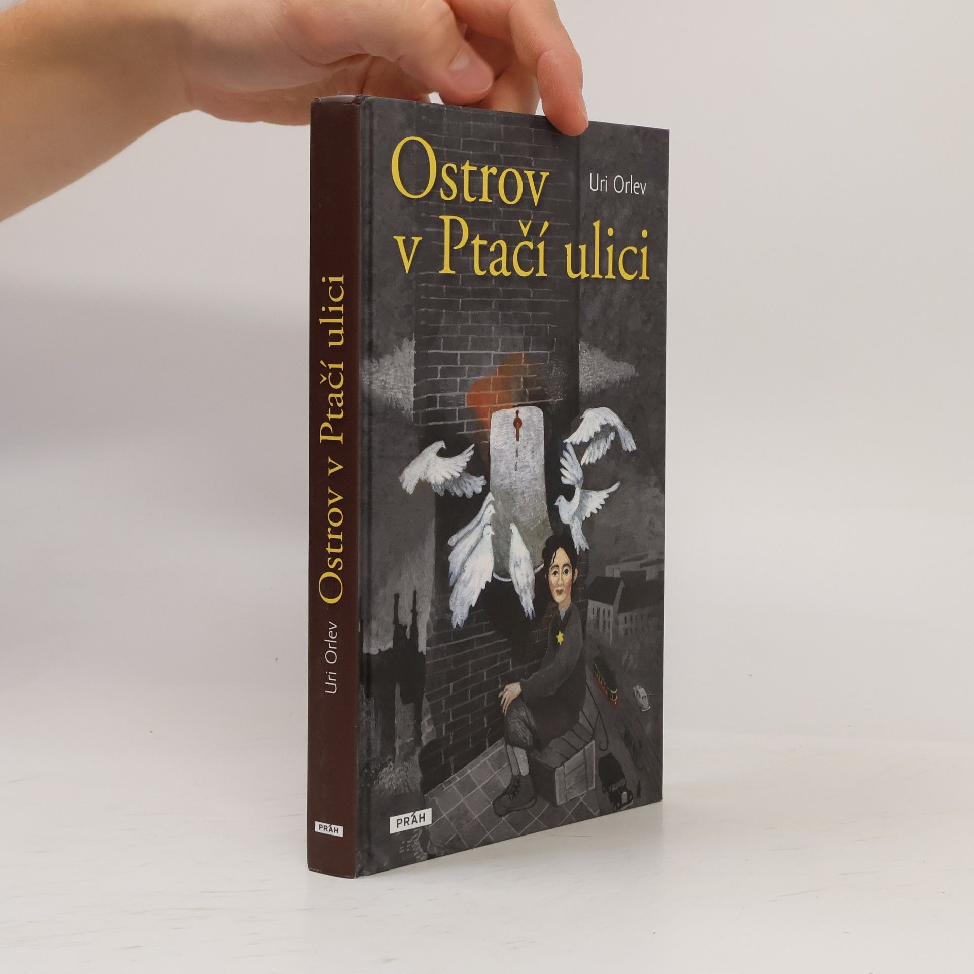 Uri Orlev Ostrov v Ptačí ulici