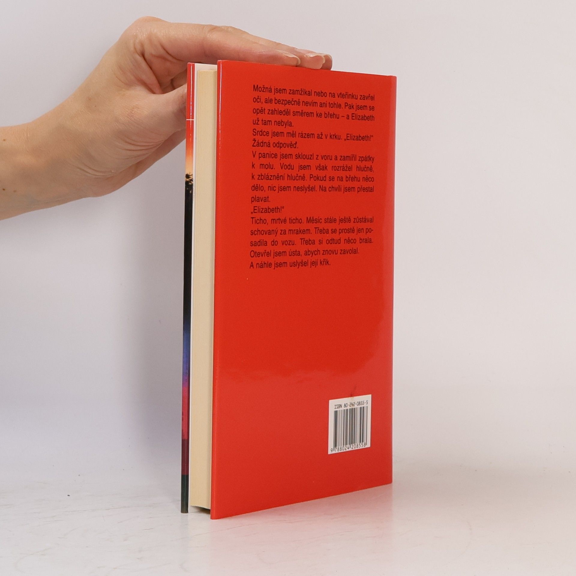 Harlan Coben Nikomu ani slovo