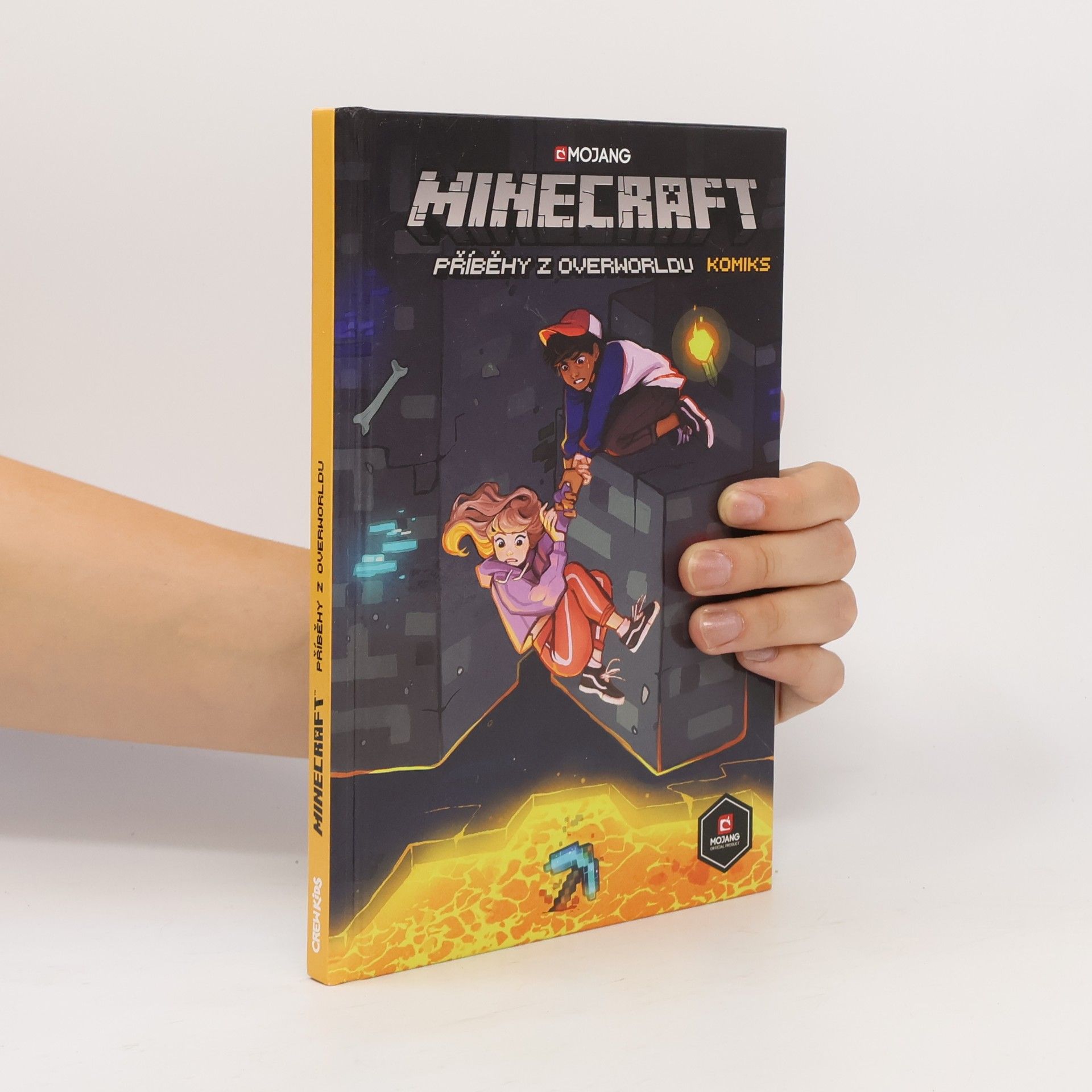 Ian Flynn Minecraft. Příběhy z Overworldu