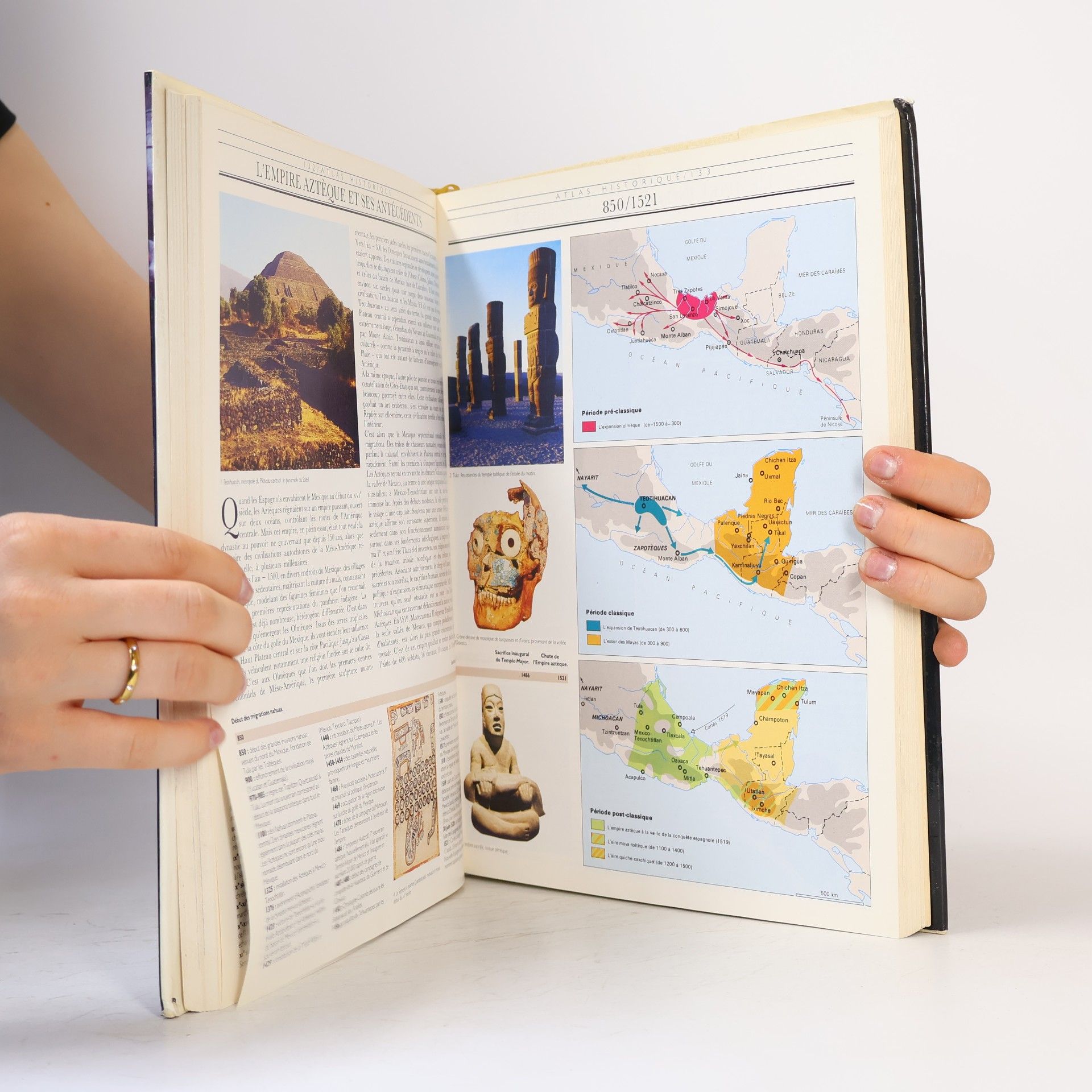 Luis Fernando Vidal Le Grand livre de l'histoire du monde