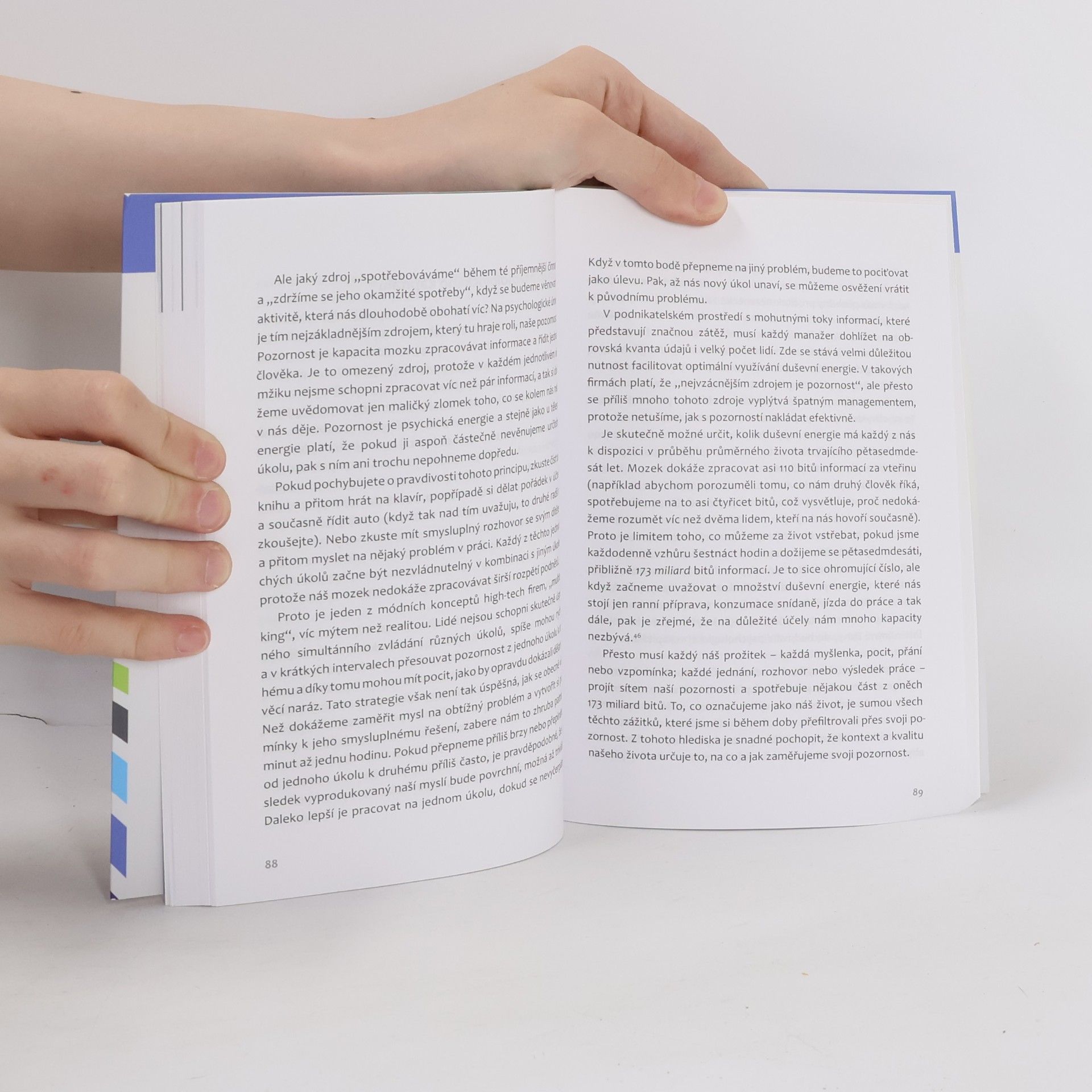 Mihaly Csikszentmihalyi Flow a práce
