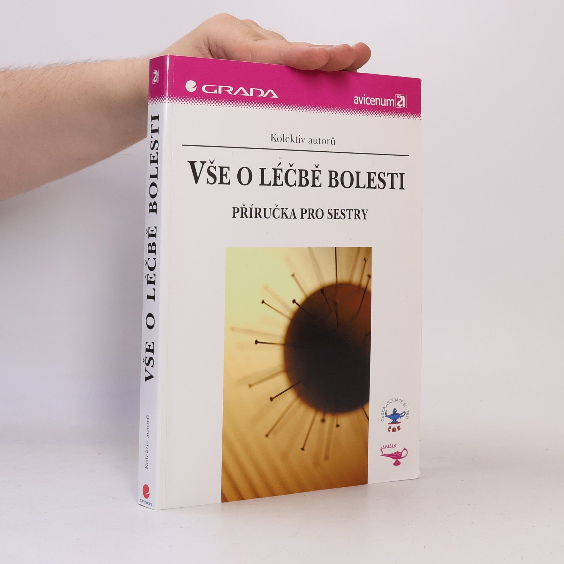Autorenkollektiv Vše o léčbě bolesti: Příručka pro sestry