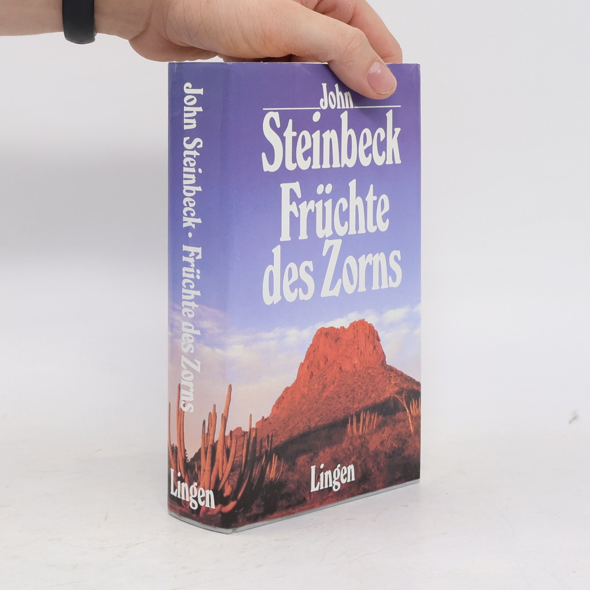 John Steinbeck Früchte des Zorns